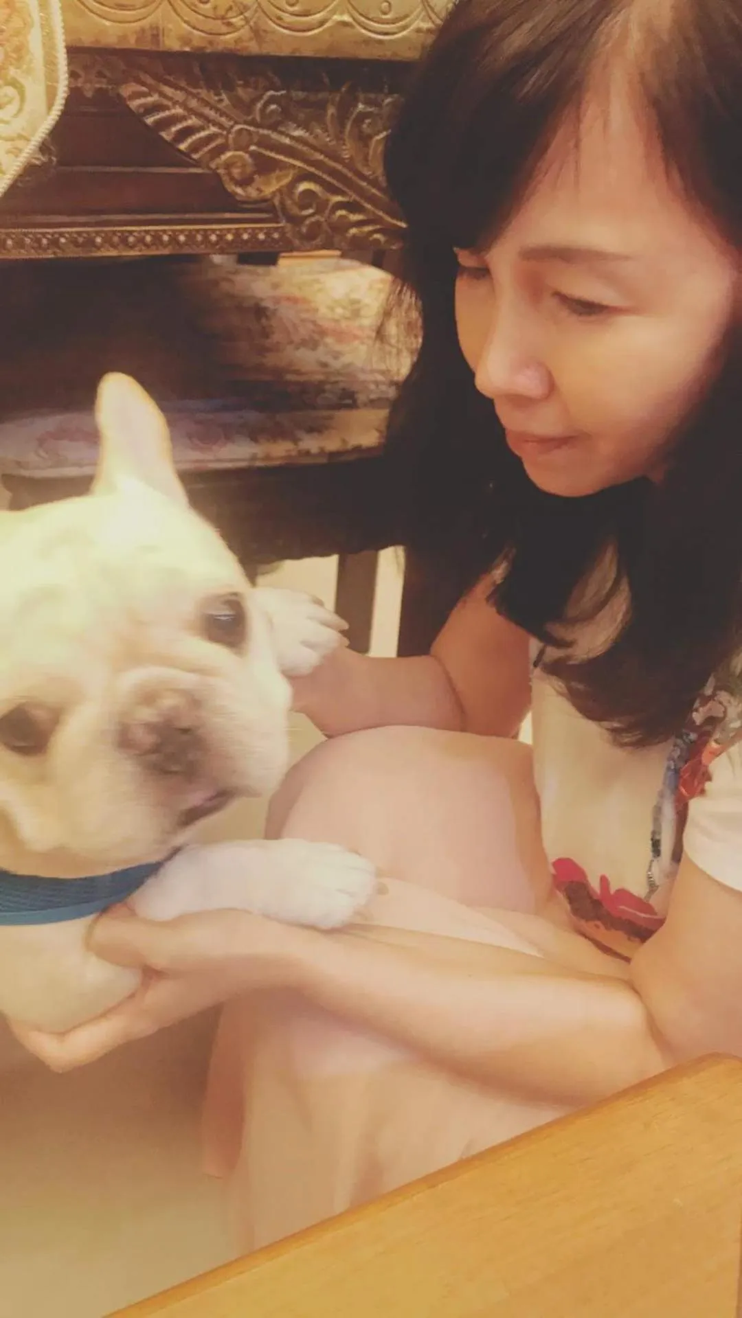 Aria 2 Home (With Elevator)