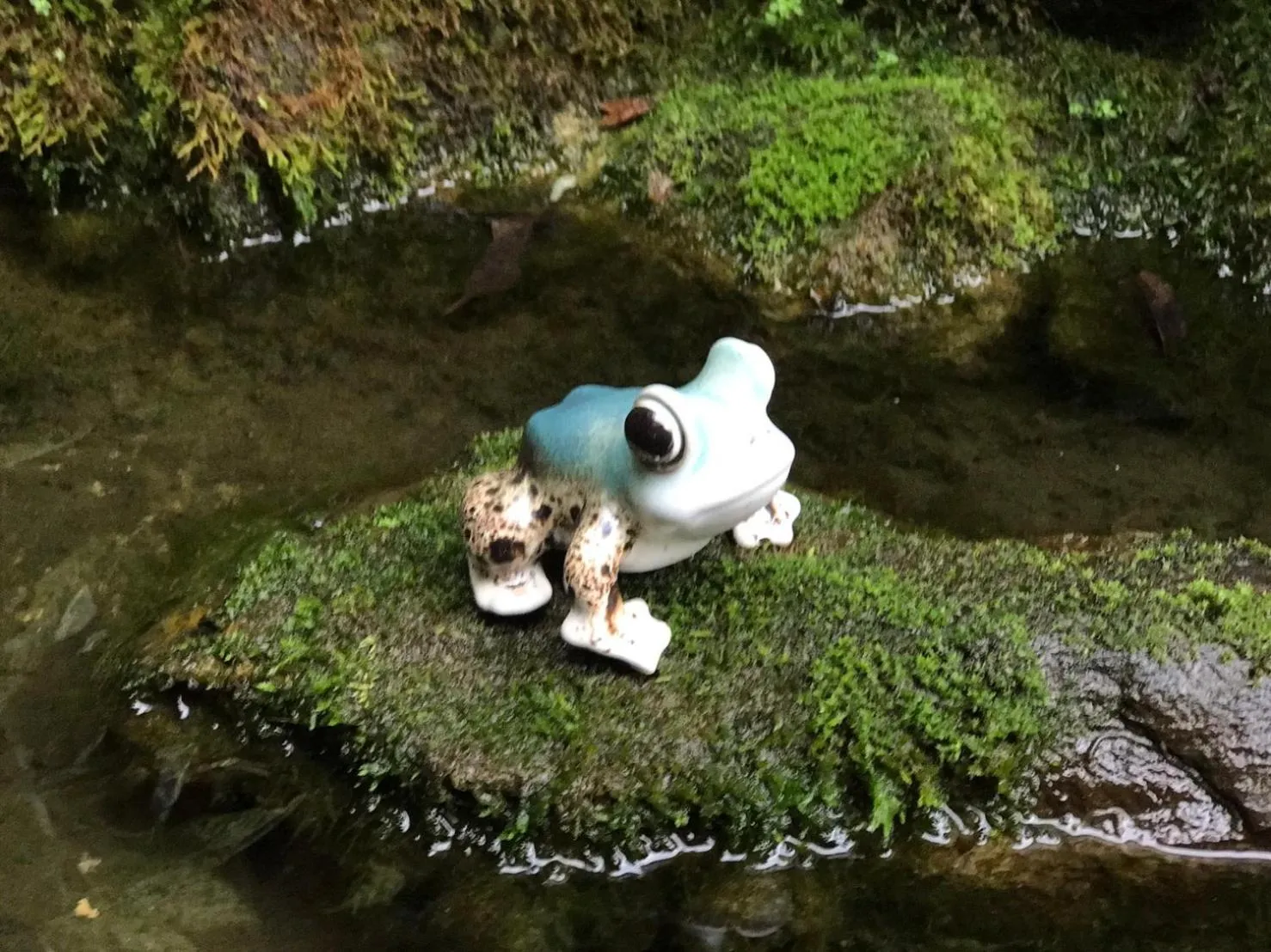 View (from property/room) in Timing House