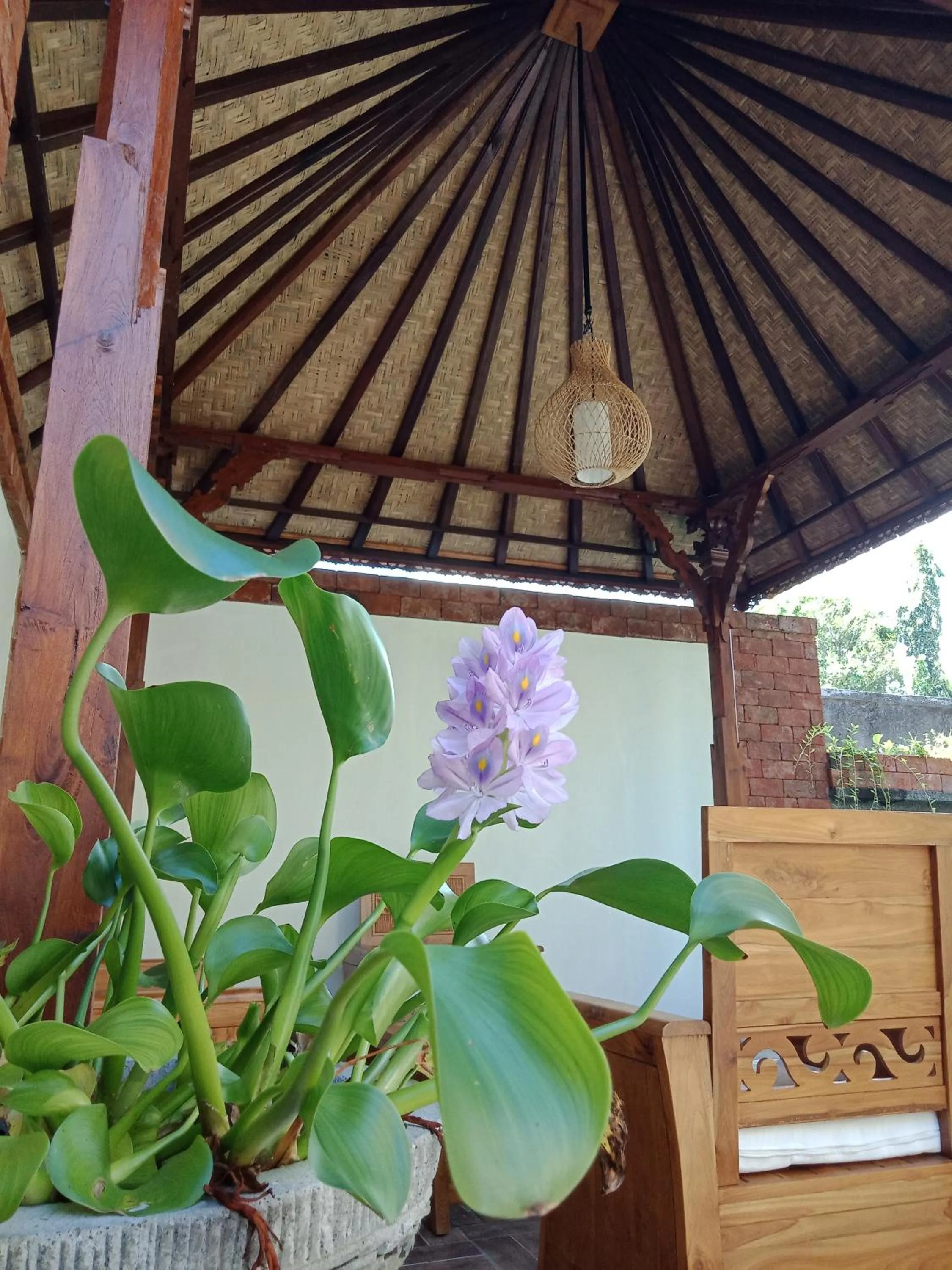 D'puja Home Stay and Spa