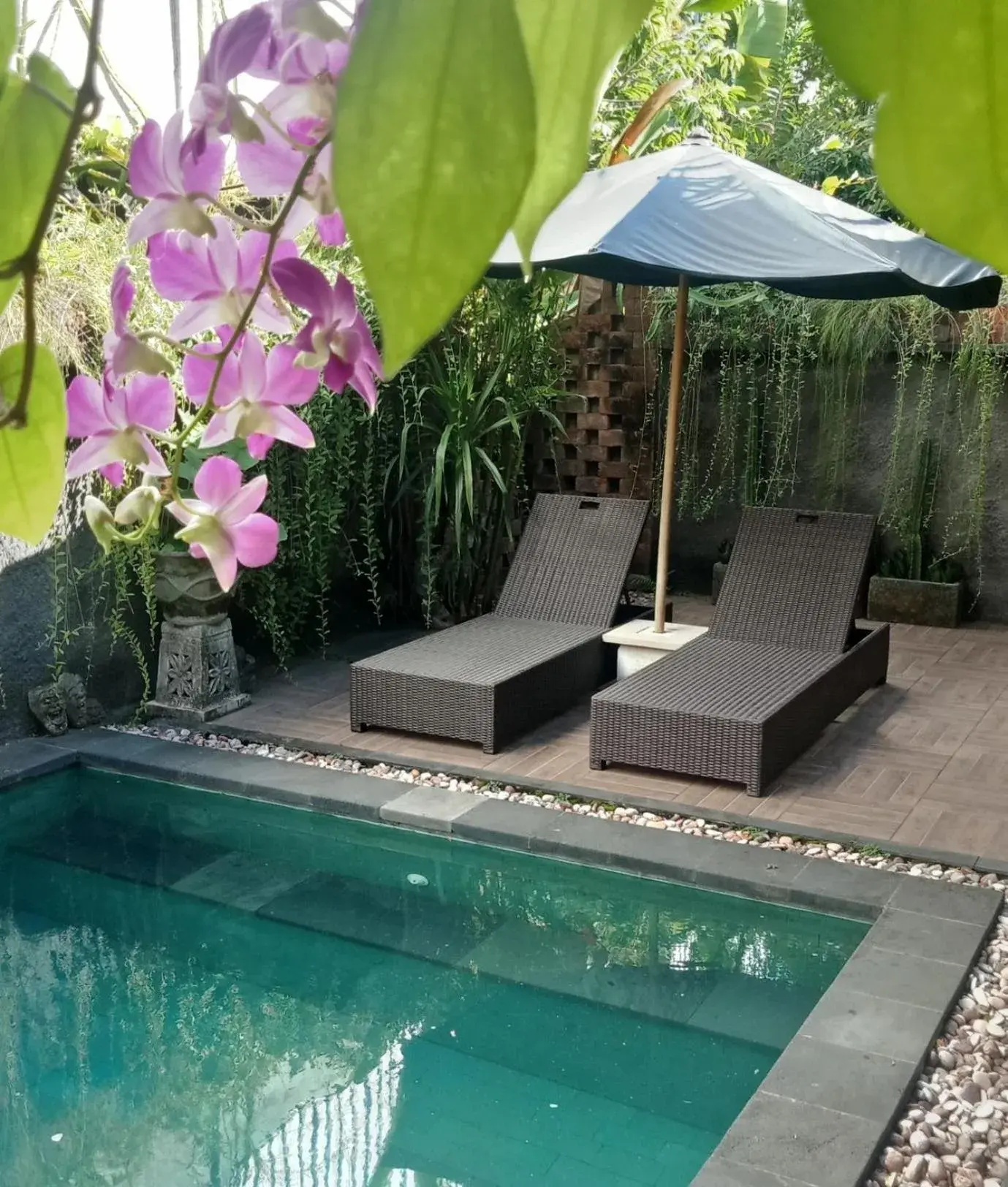 D'puja Home Stay and Spa D'puja Home Stay and Spa