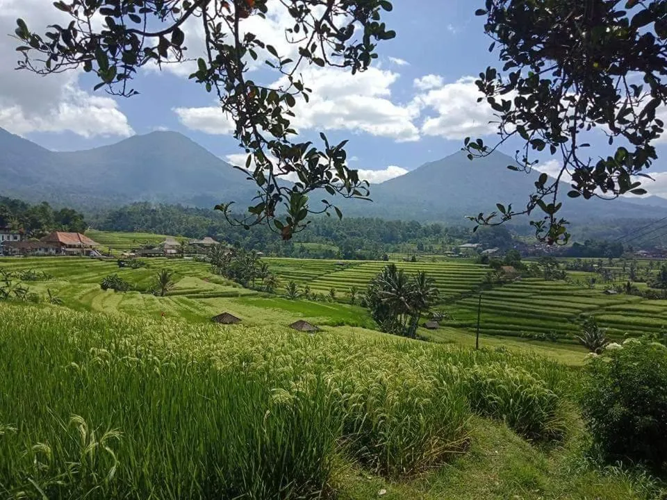 D'puja Home Stay and Spa