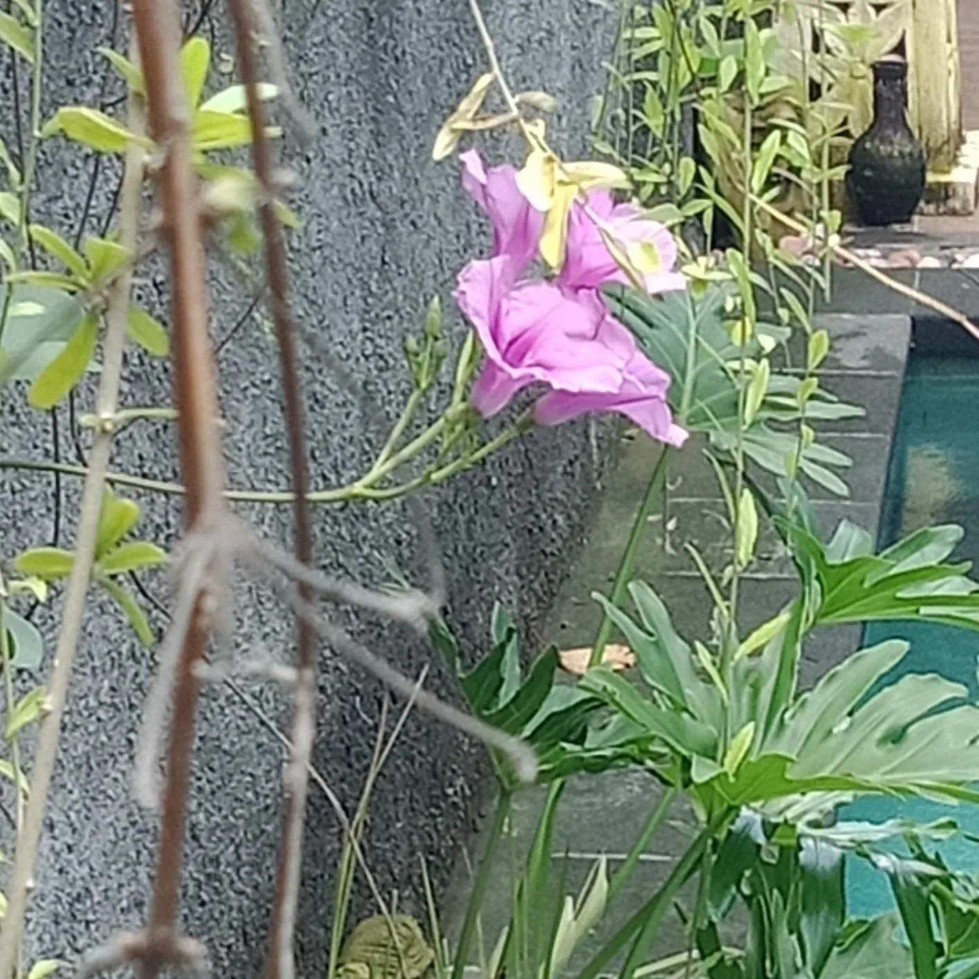 D'puja Home Stay and Spa