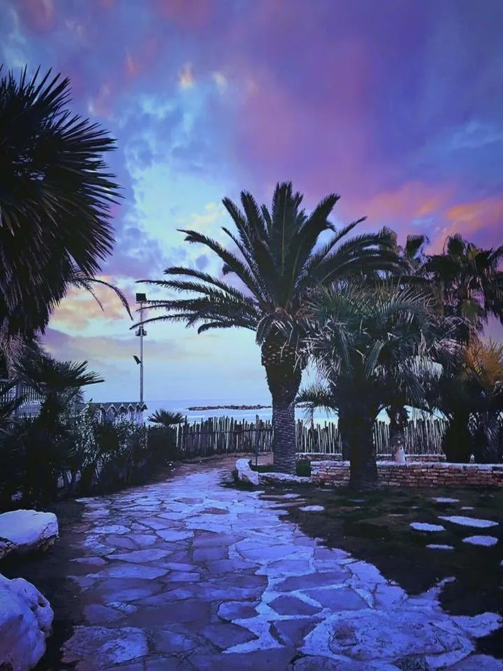 Albergo Girasole Frontemare