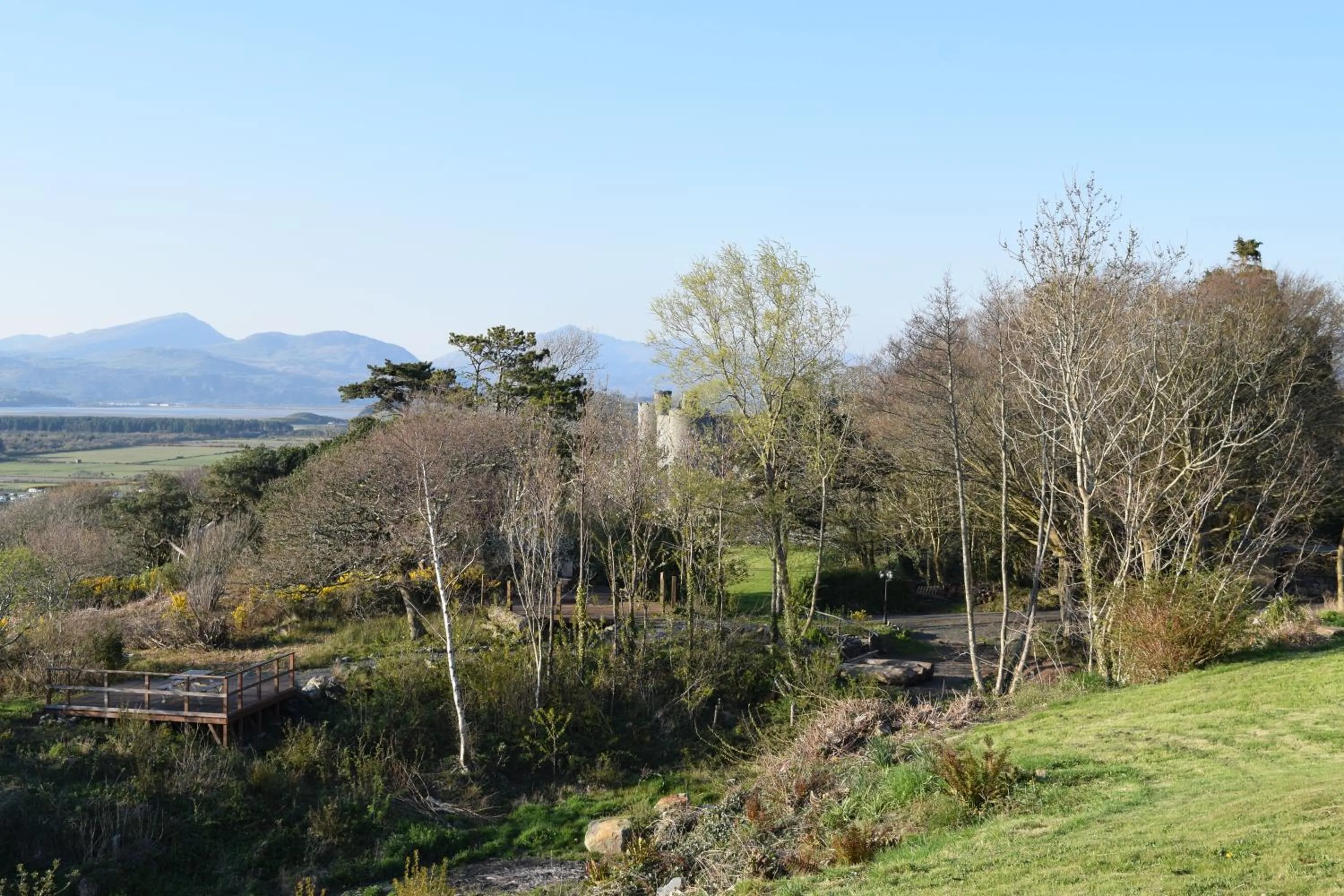 Garden in Crown Lodge