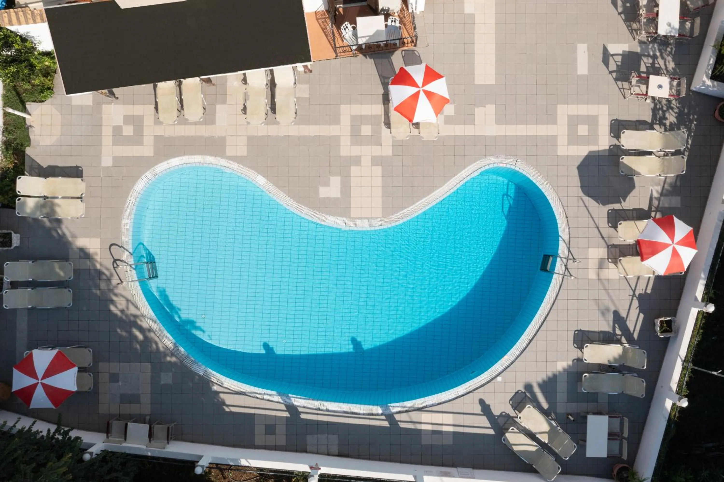 Swimming pool in Louvre Hotel