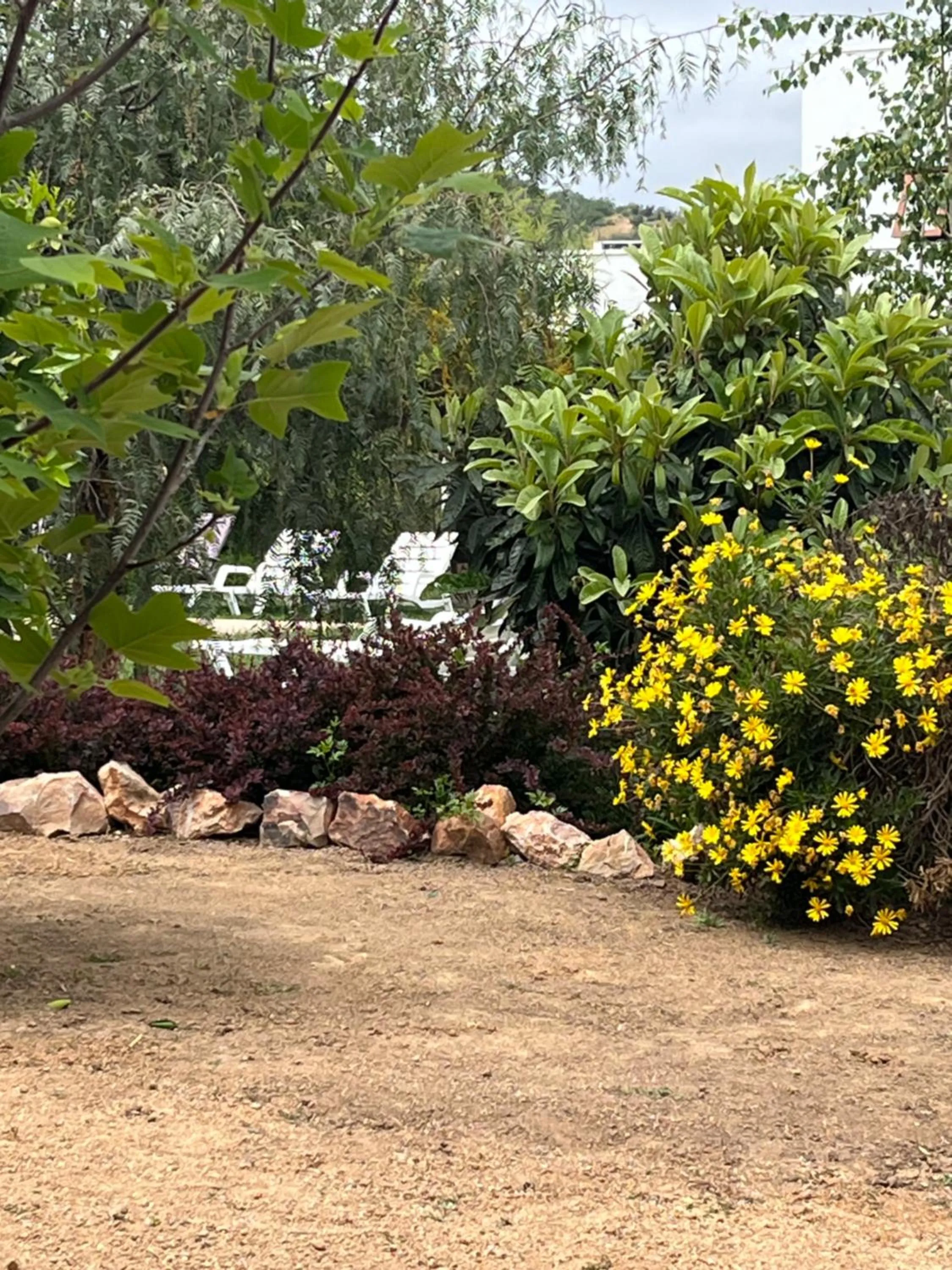 Day in Callihue Lodge