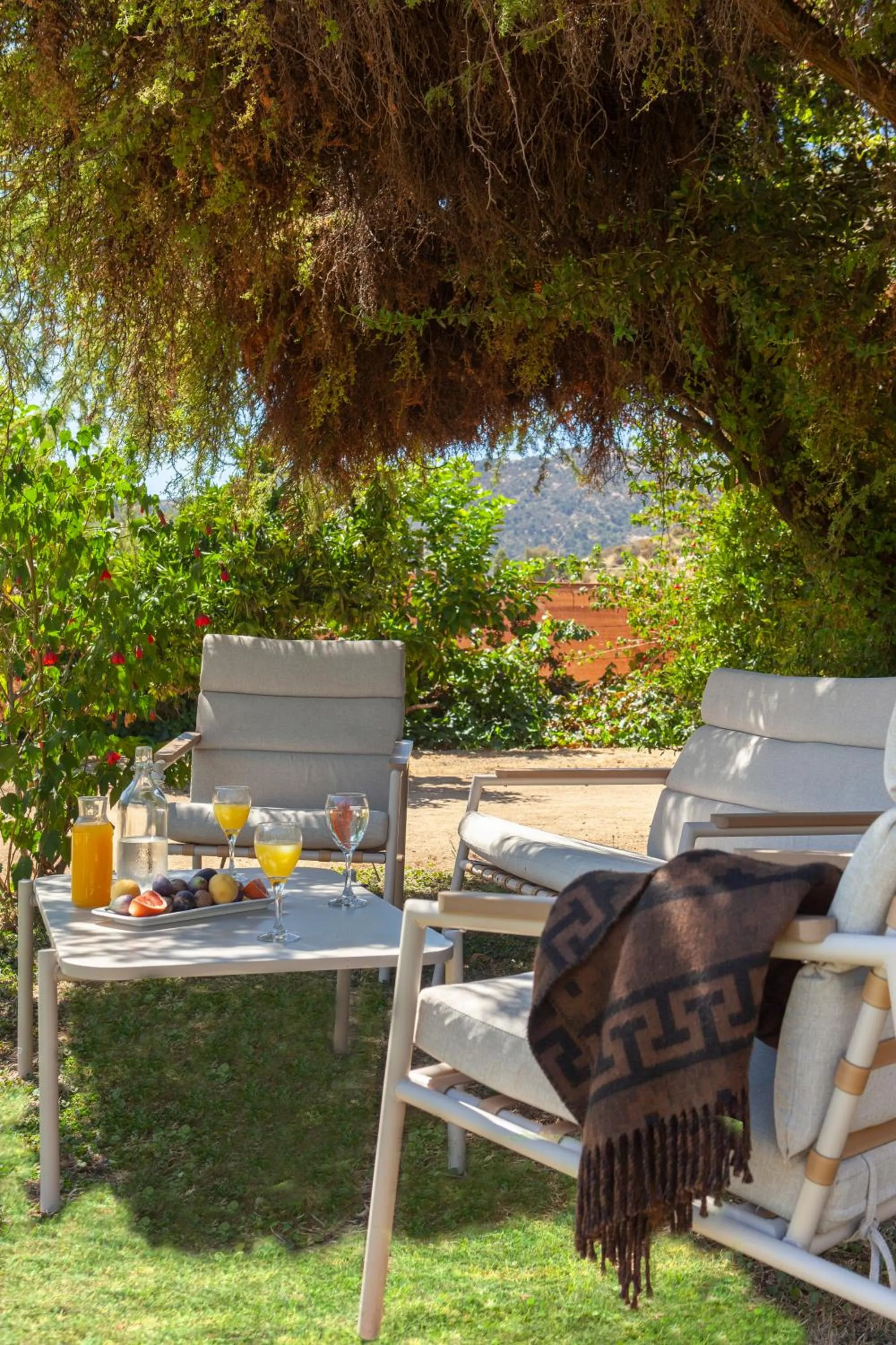 Summer in Callihue Lodge