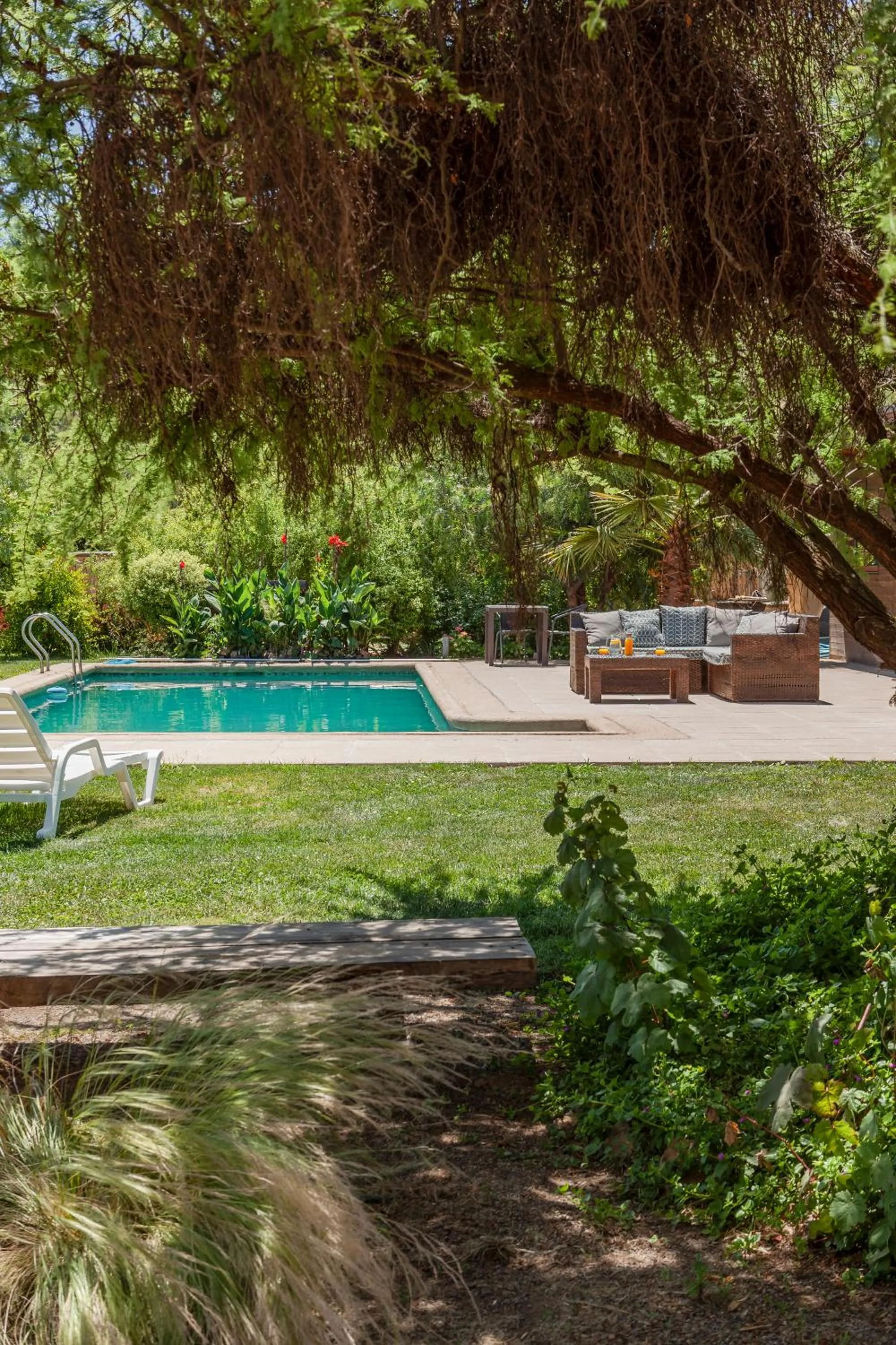 View (from property/room) in Callihue Lodge