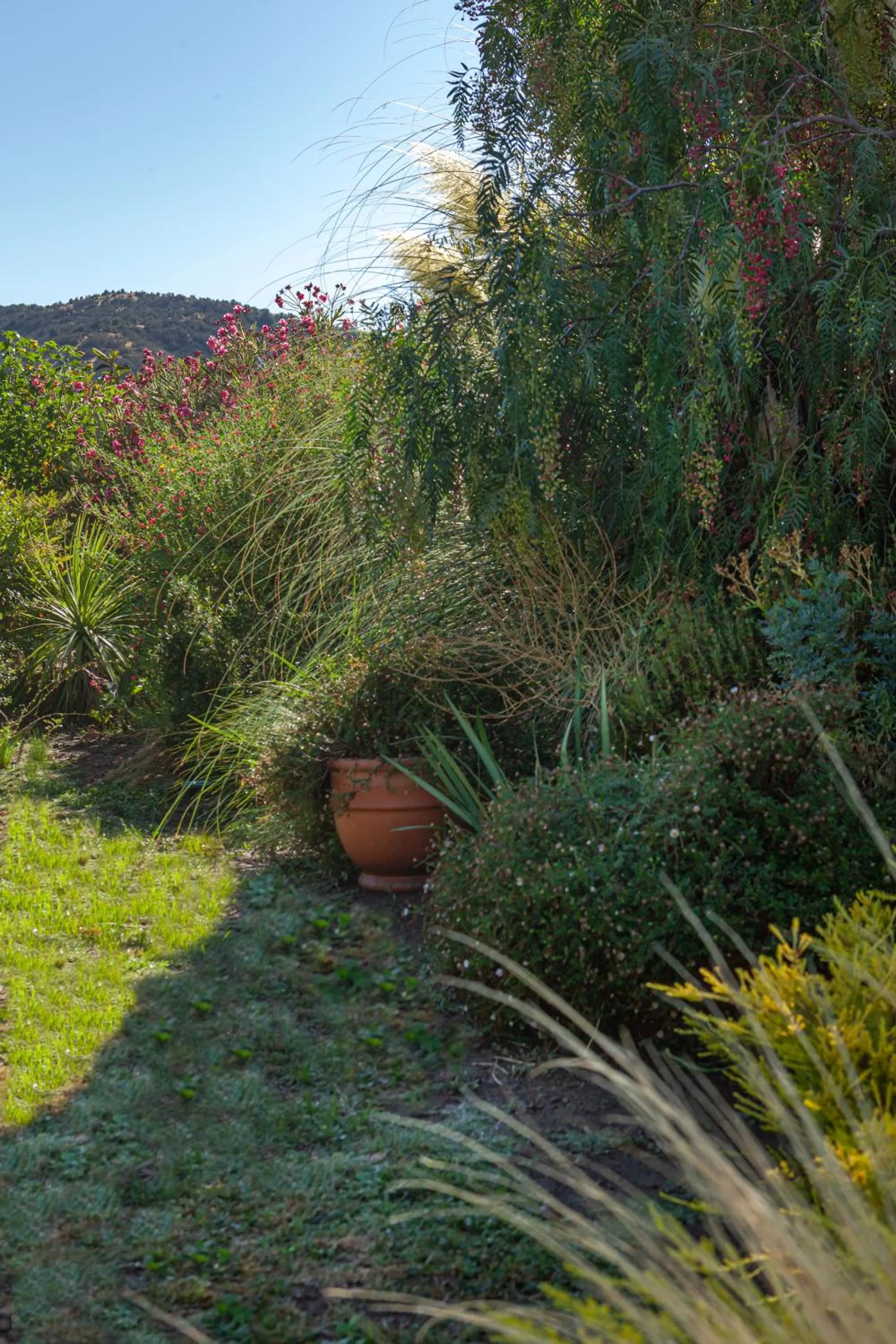 Garden in Callihue Lodge