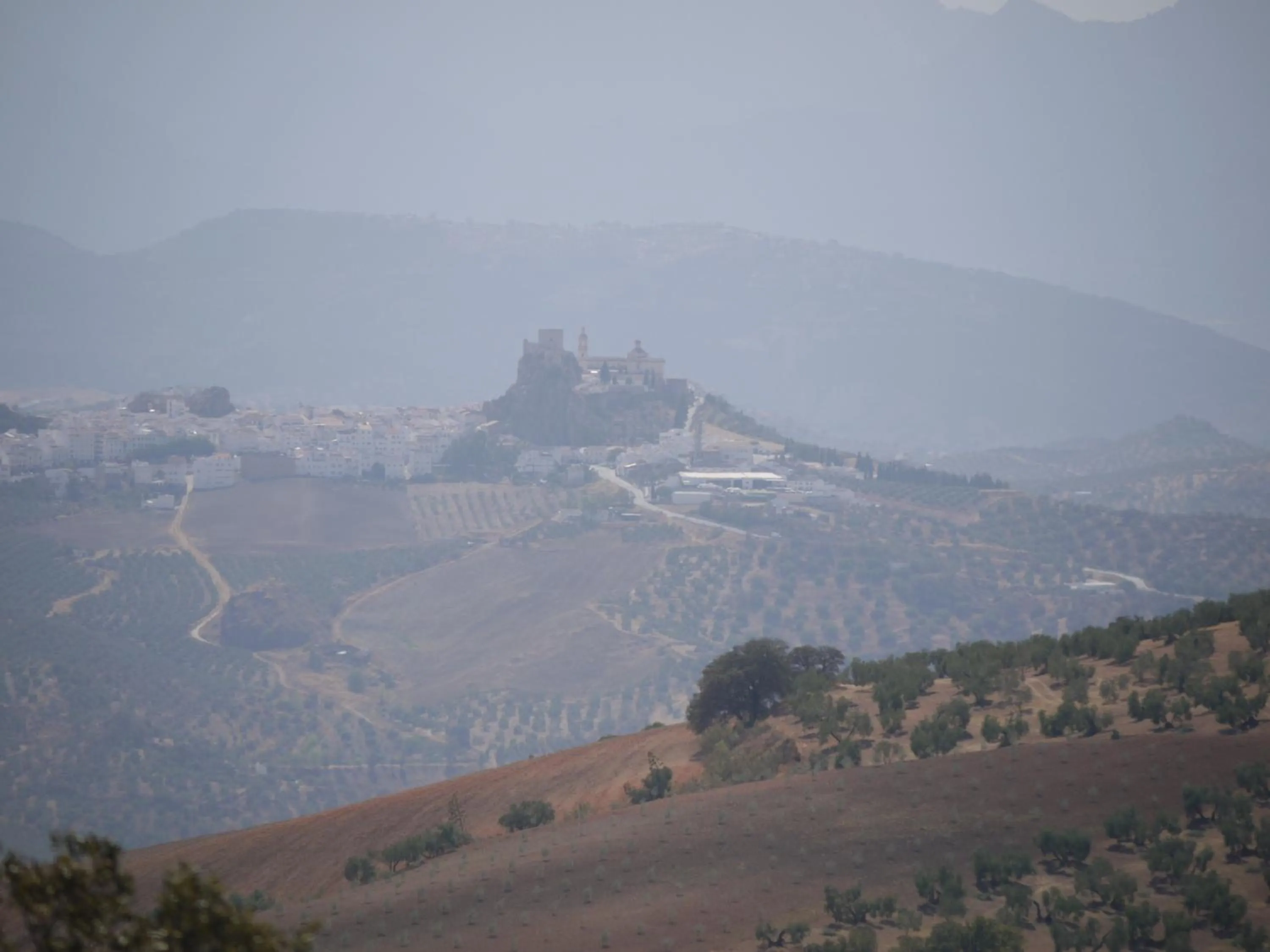 Natural landscape in No 31 Bed & Breakfast