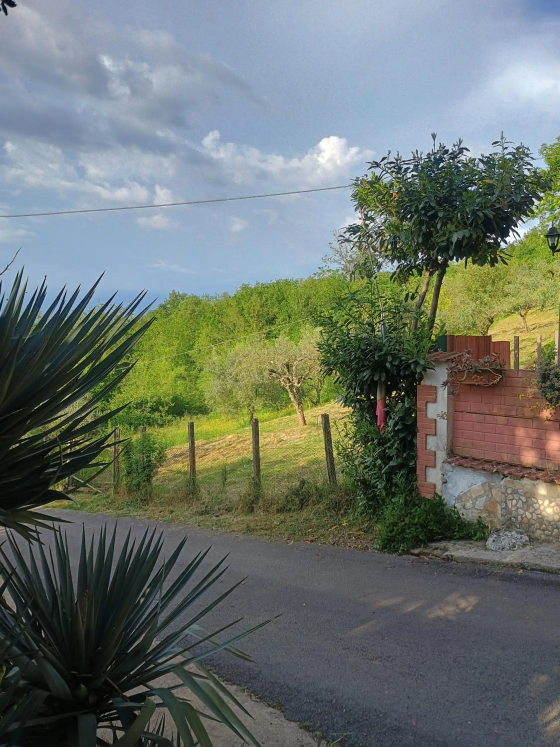 Natural landscape in B&b Fabra Casa Mia e non solo