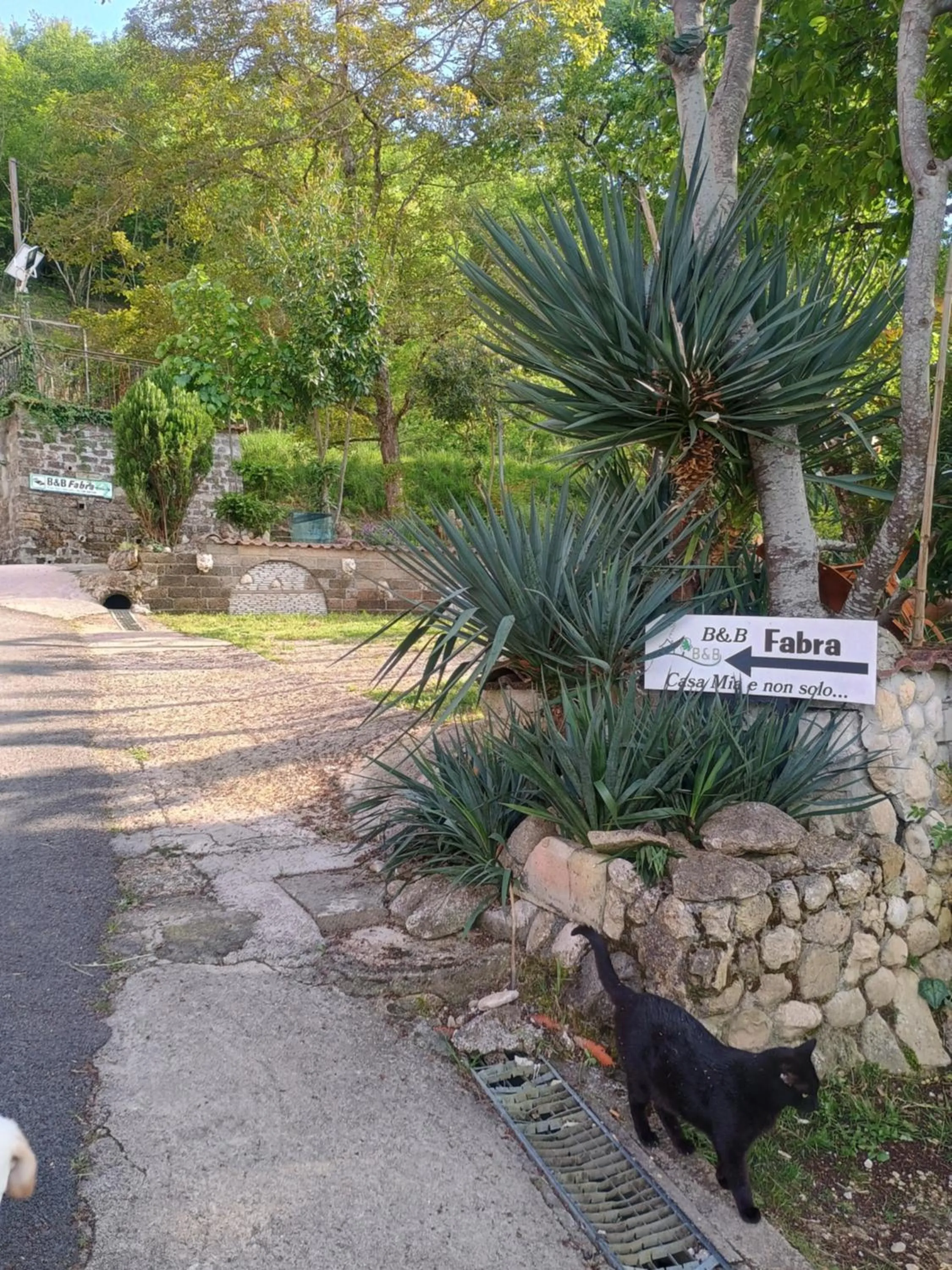 Garden view in B&b Fabra Casa Mia e non solo