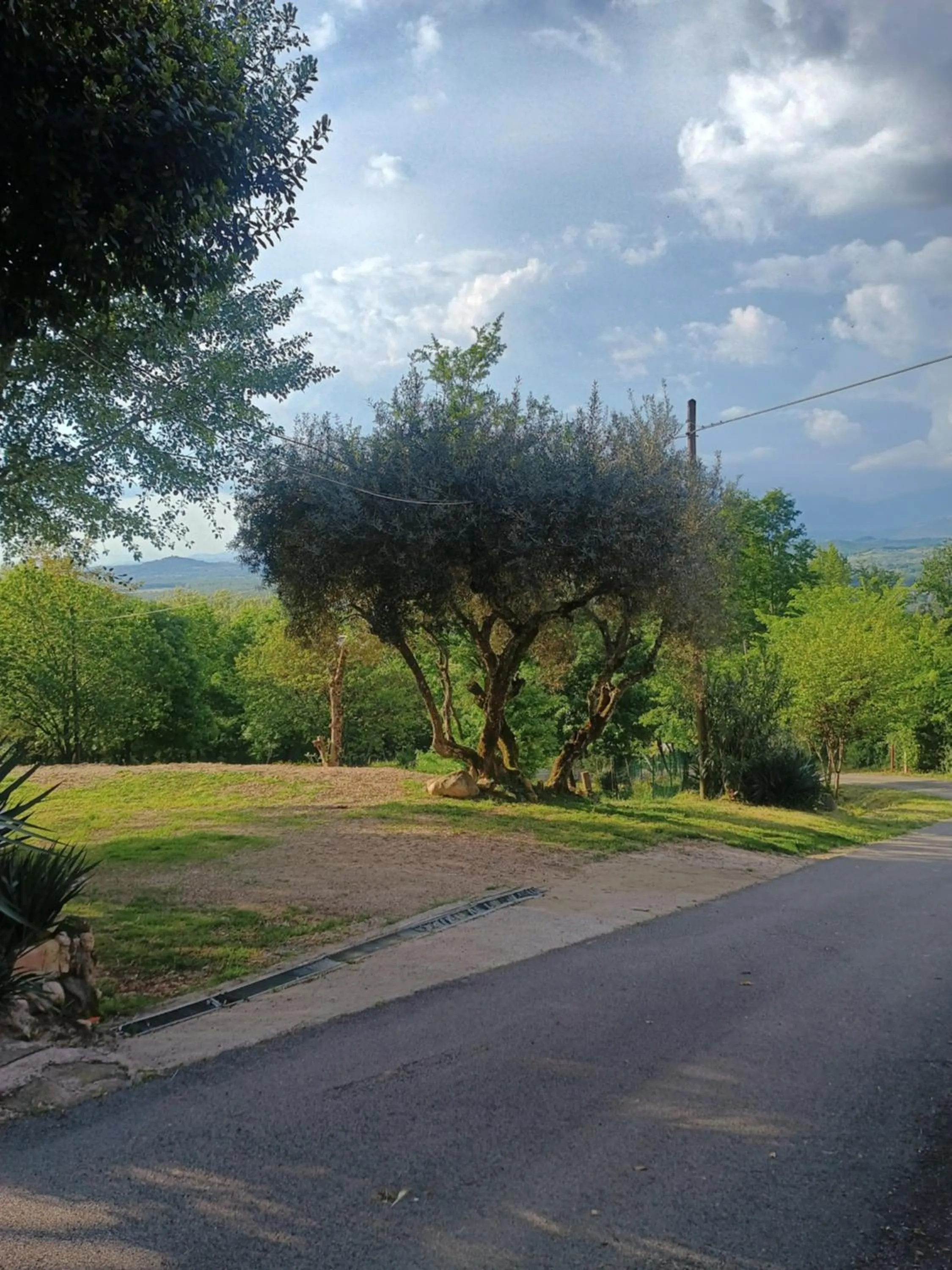 Natural landscape in B&b Fabra Casa Mia e non solo