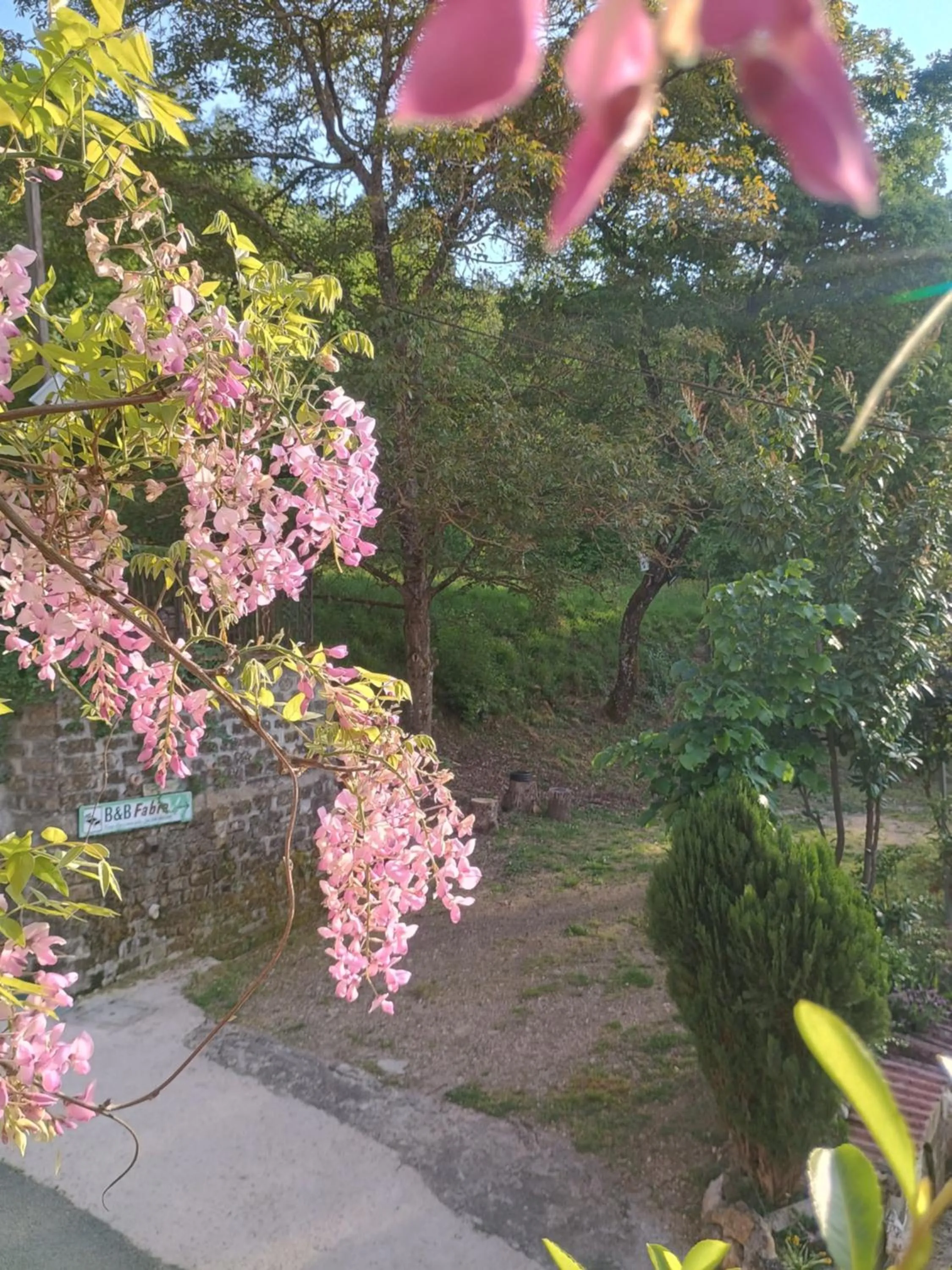 Spring in B&b Fabra Casa Mia e non solo