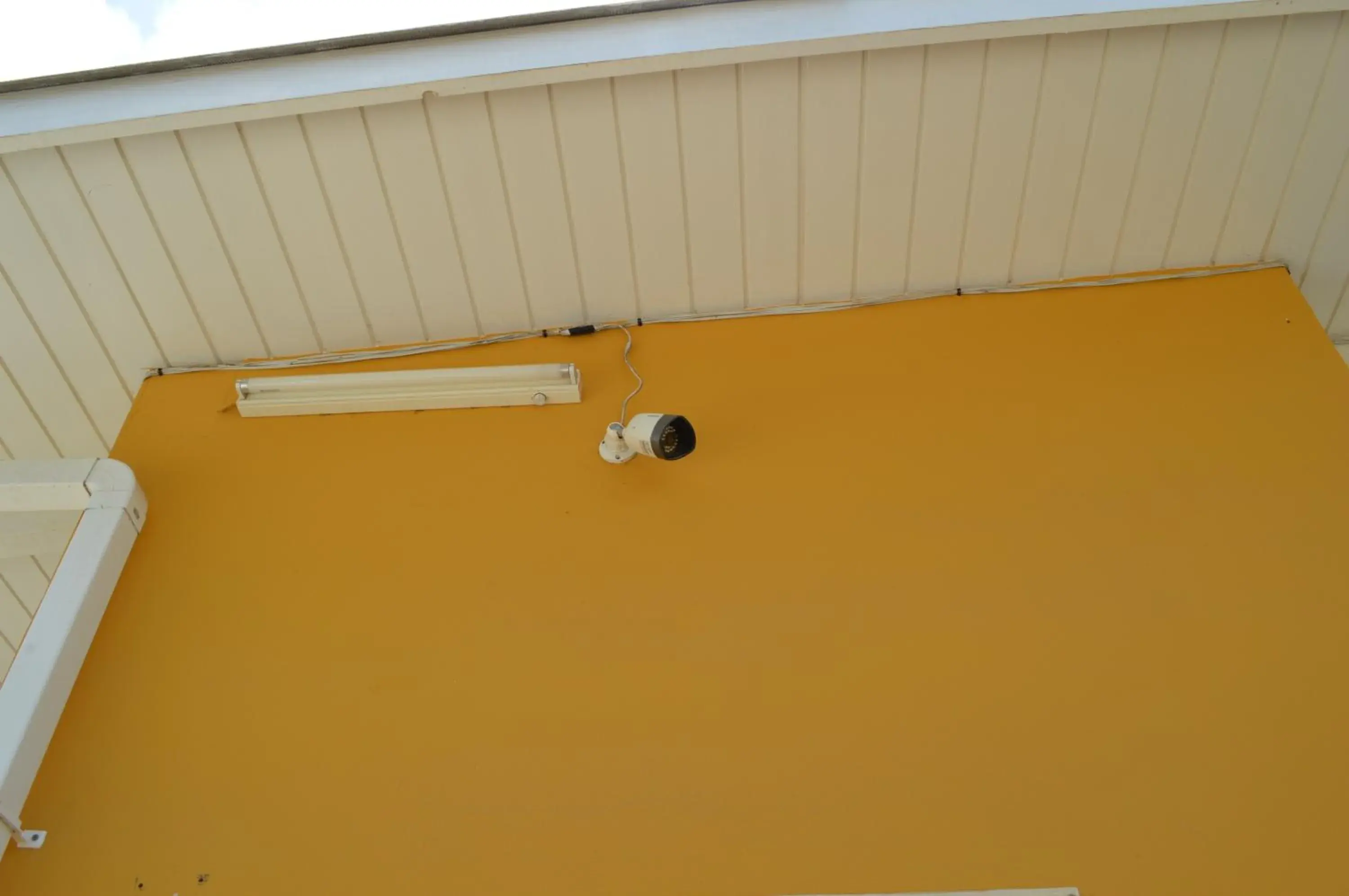 Other in Eve's Residence Other in Eve's Residence