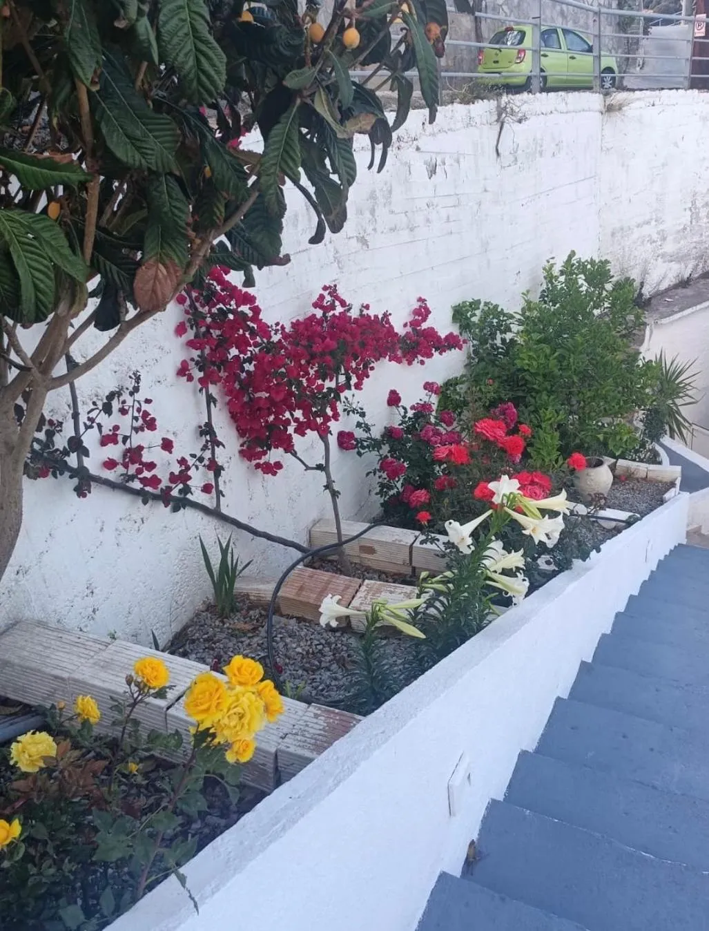 Garden in Sea View Studios, Harbour Beach, Bali