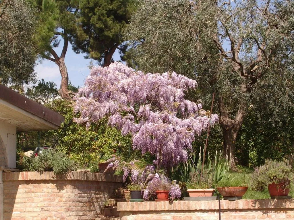 Natural landscape in Da Cristina