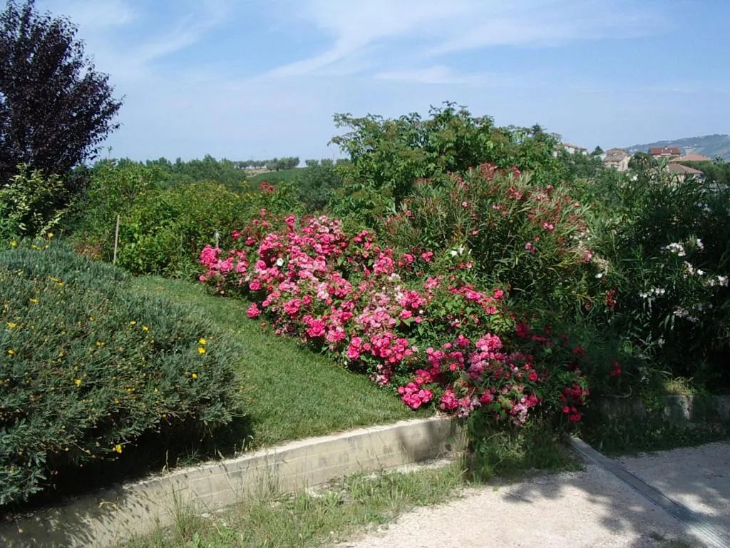 Natural landscape in Da Cristina