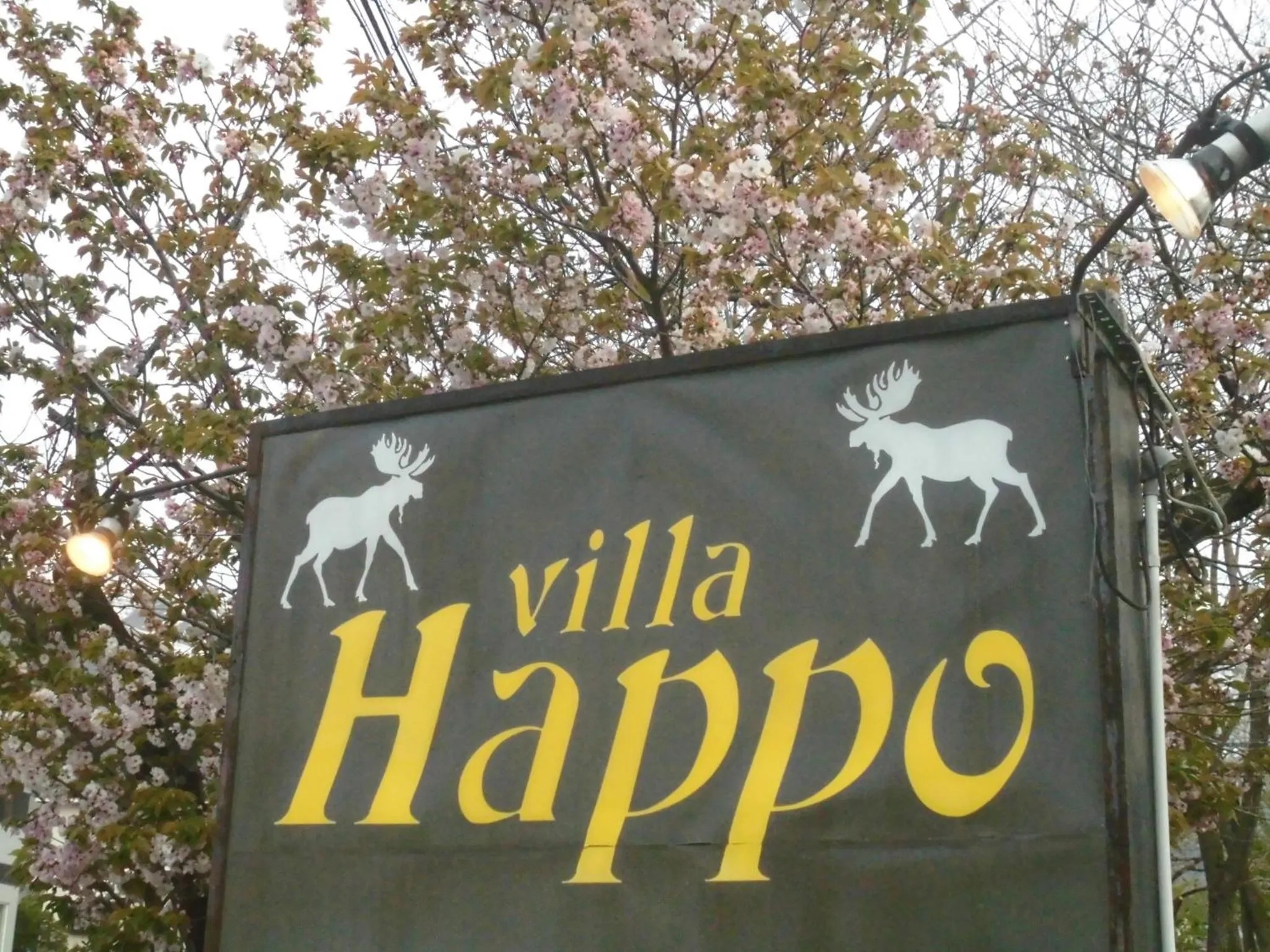 Log Cottage Villa Happo