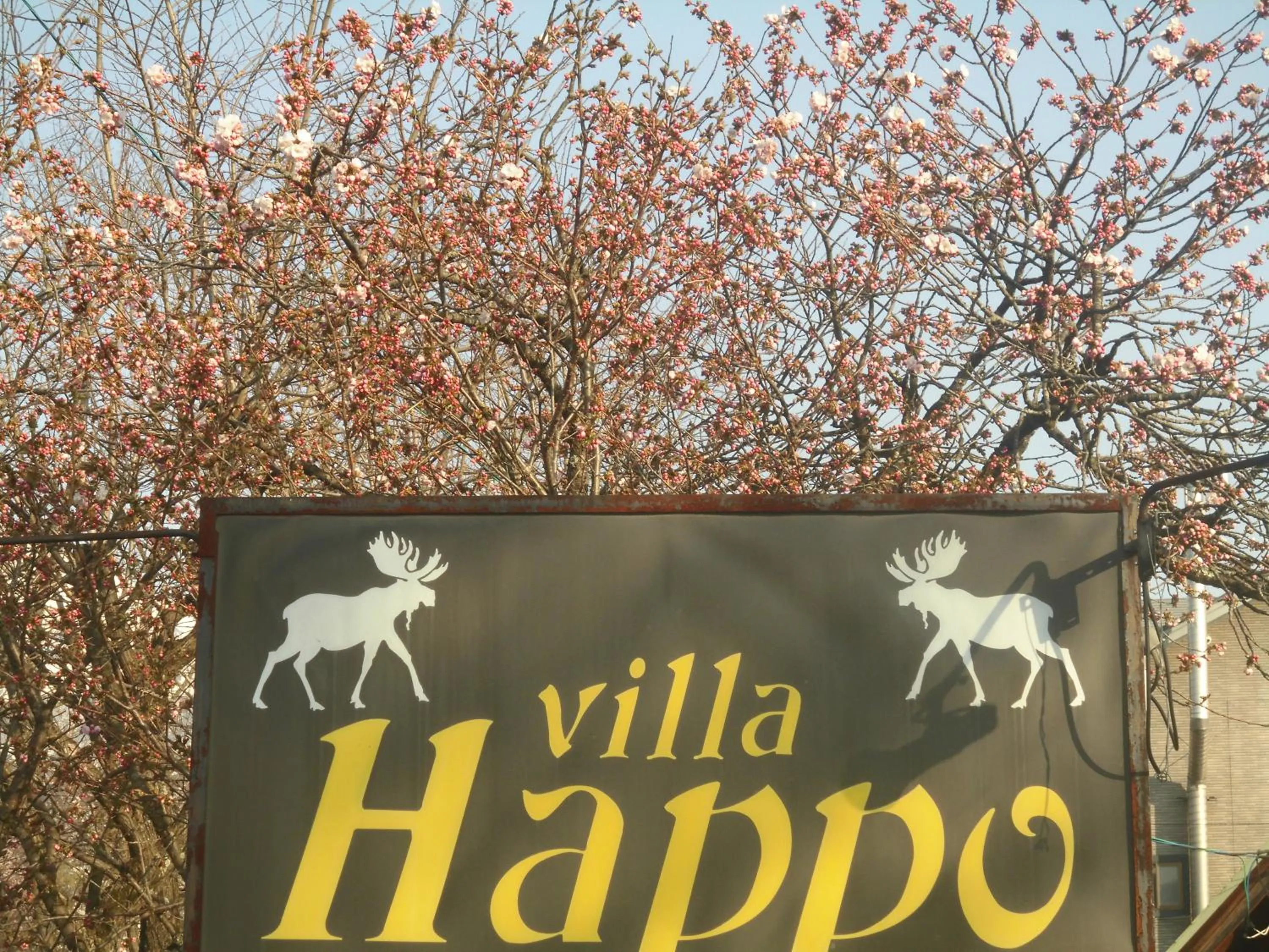 Property building in Lodge Villa Happo