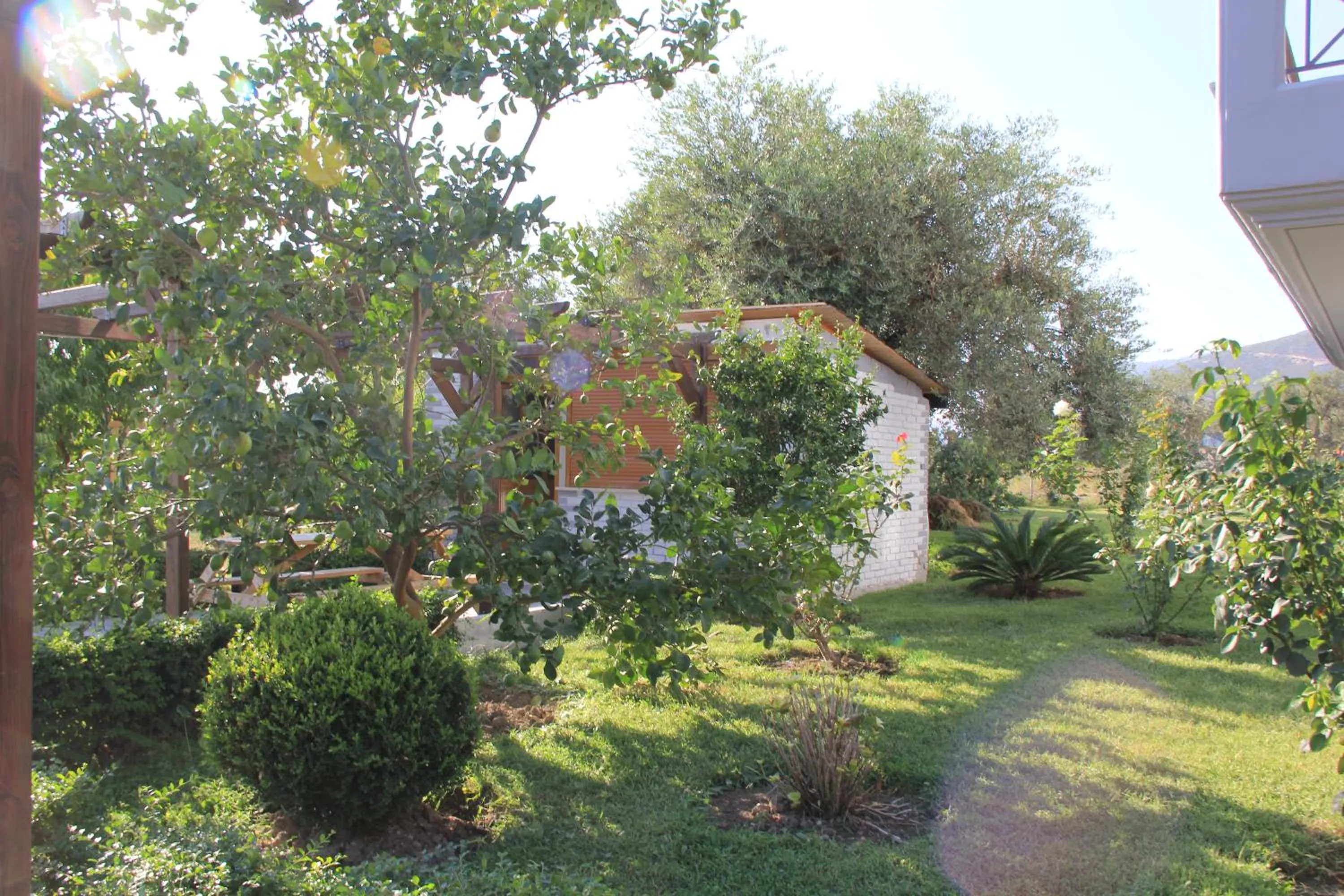 Vila Hadhri Borsh