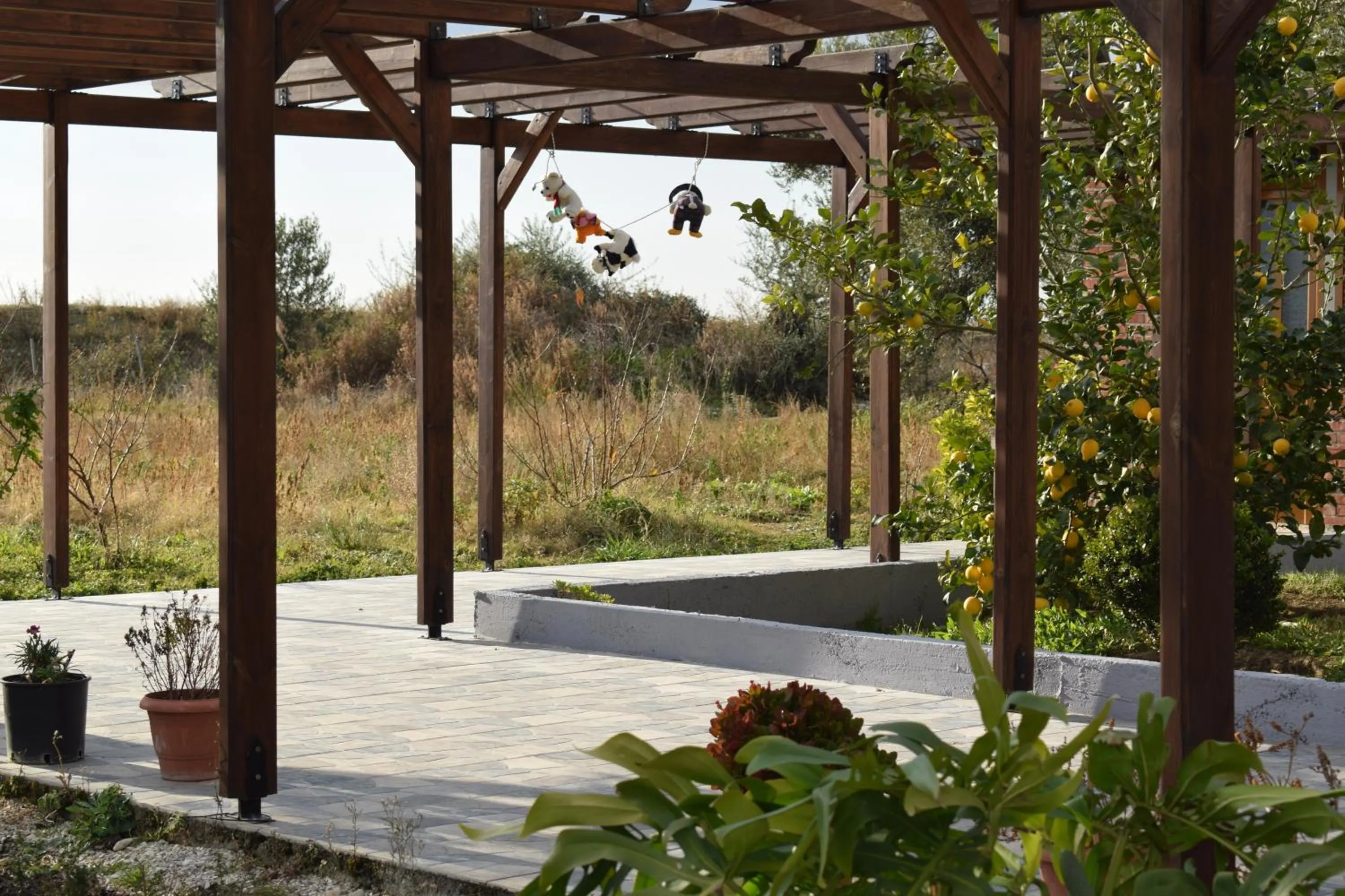 Garden in Vila Hadhri Borsh