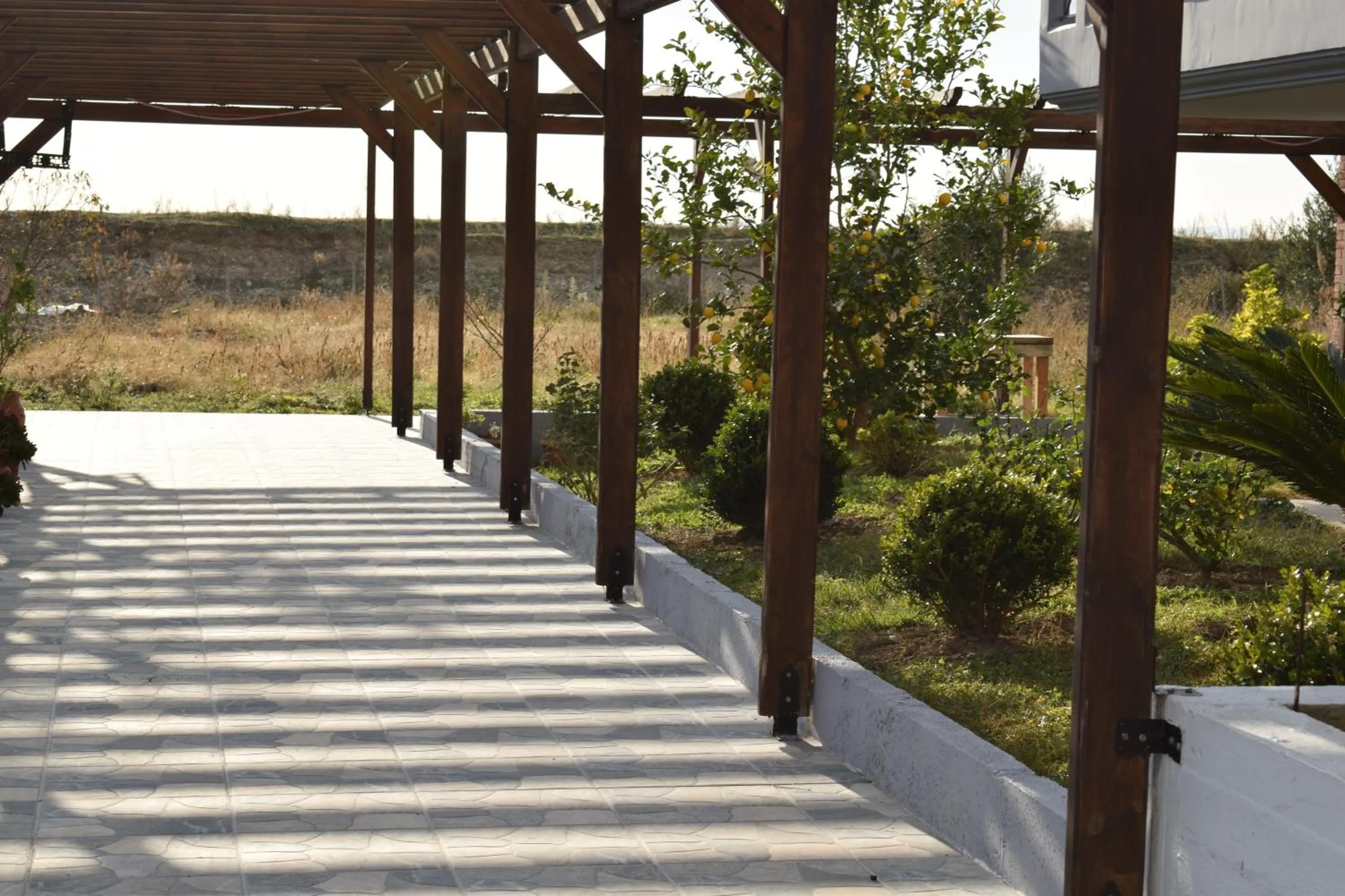 Garden in Vila Hadhri Borsh
