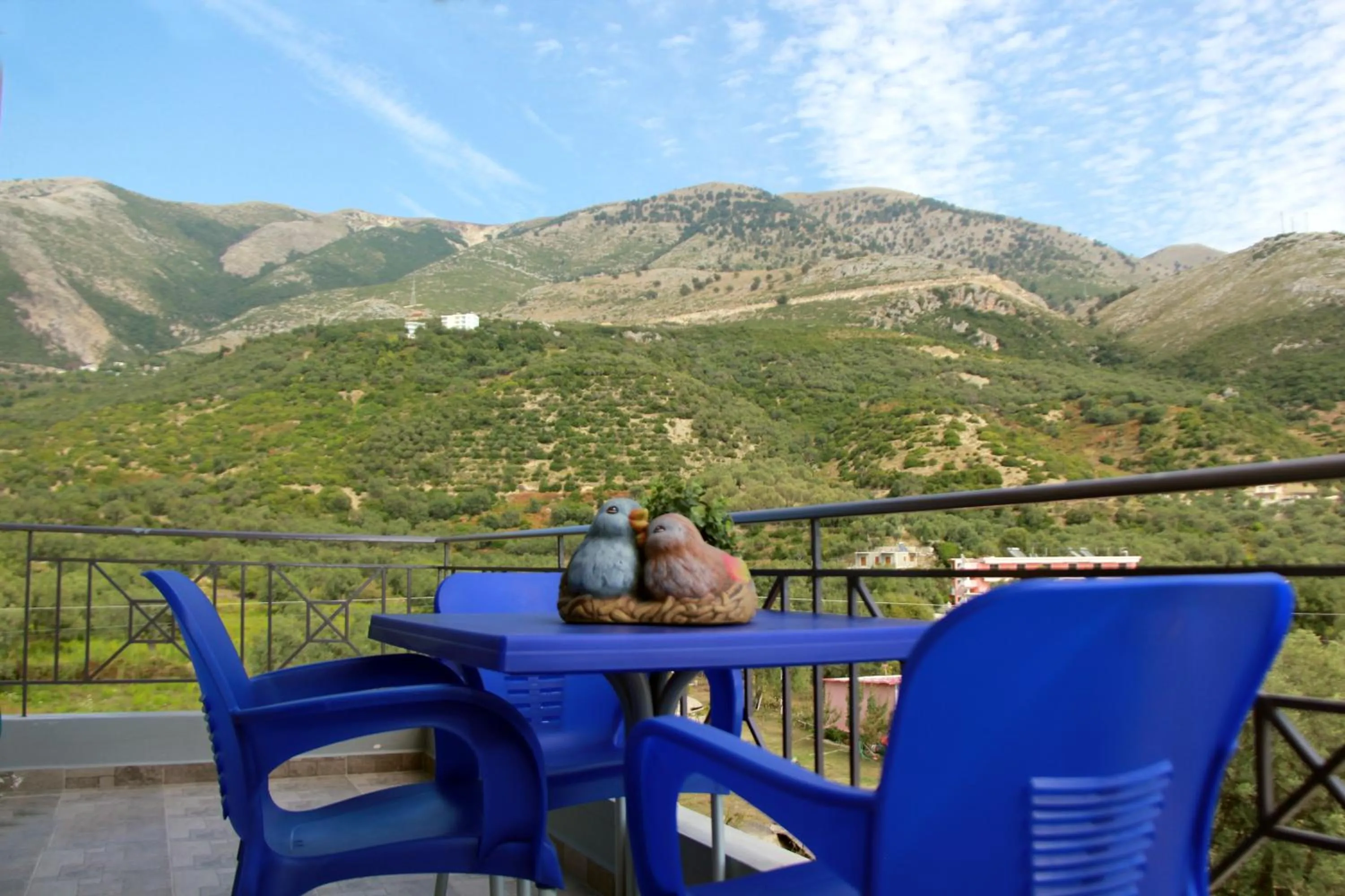 Vila Hadhri Borsh