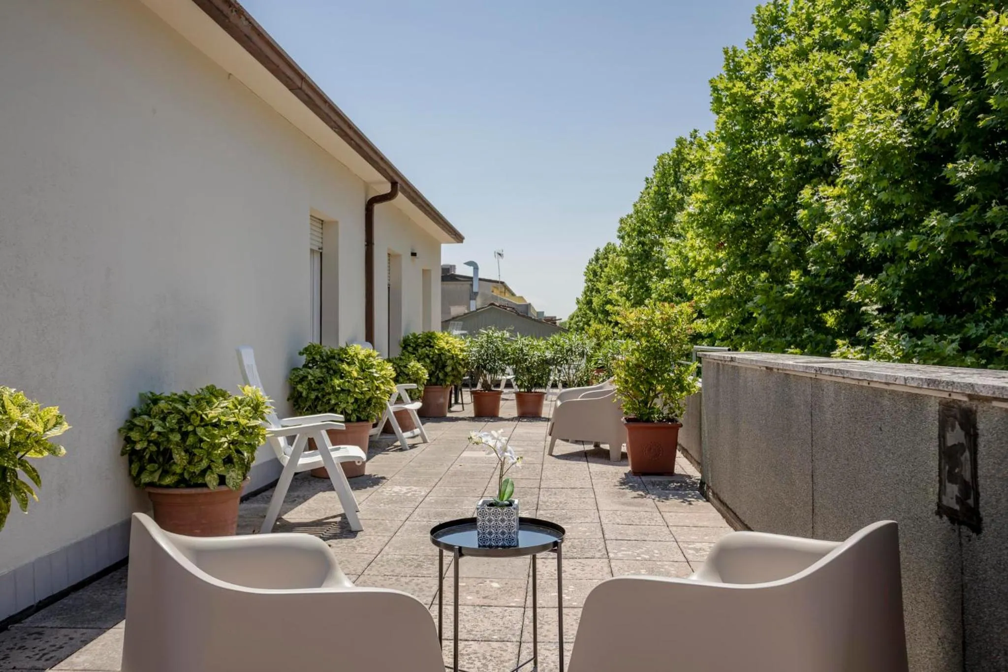Balcony/Terrace in Hotel Stella Del Mare