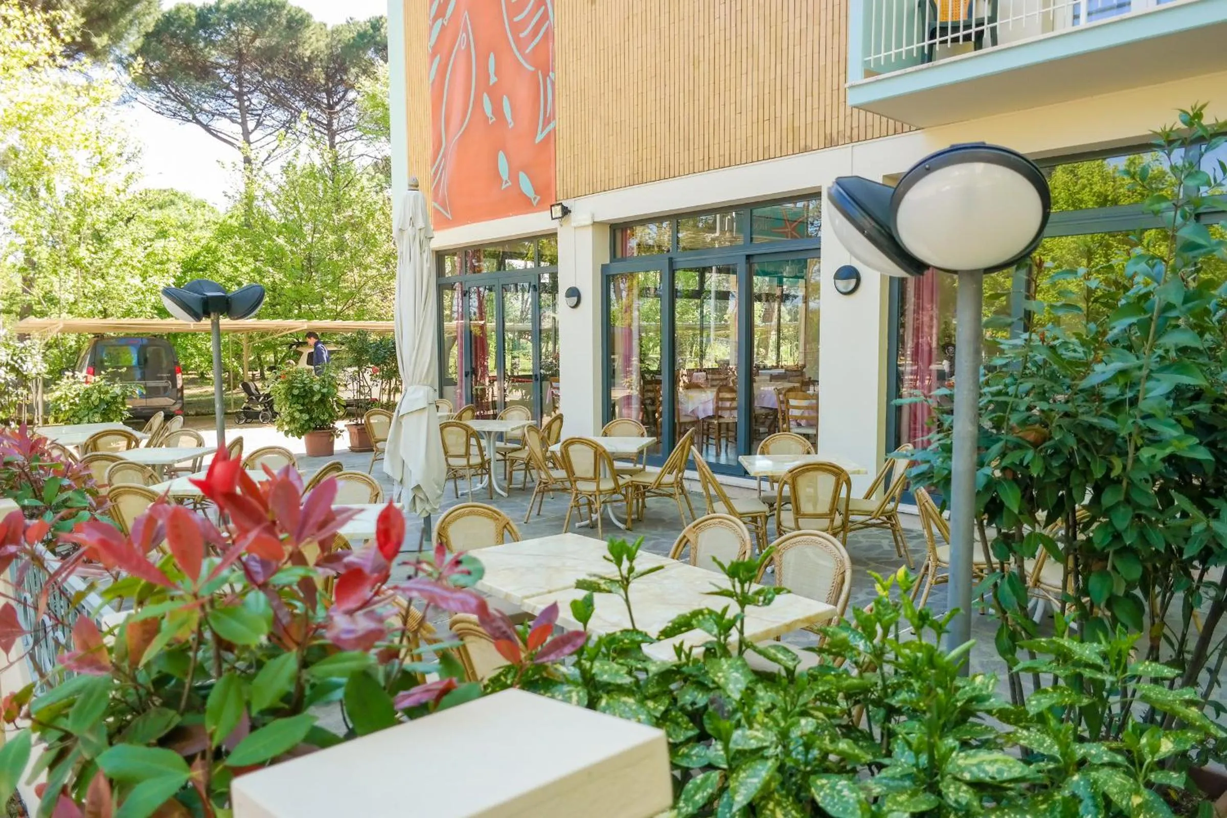 Balcony/Terrace in Hotel Stella Del Mare
