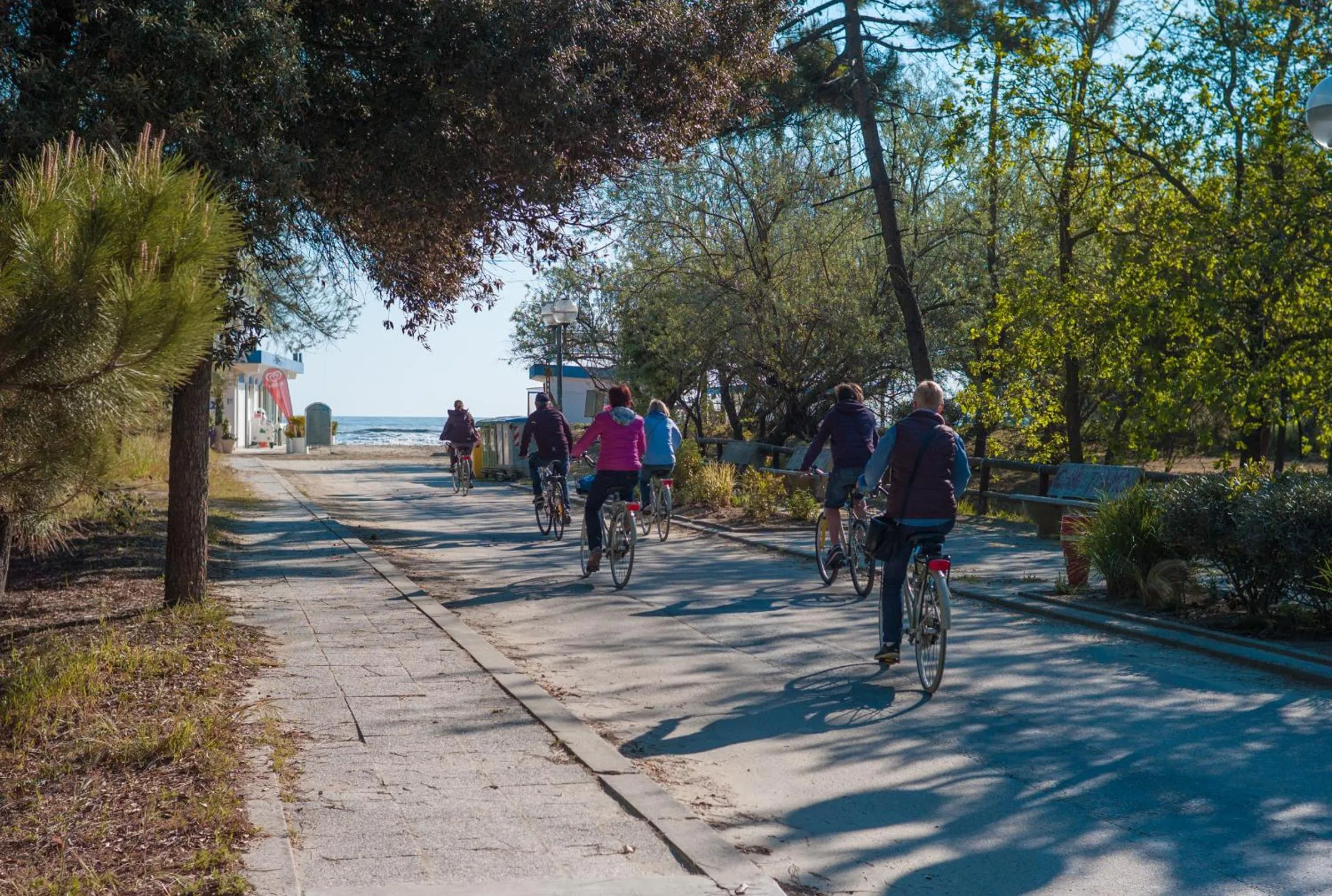 Beach in Hotel Stella Del Mare