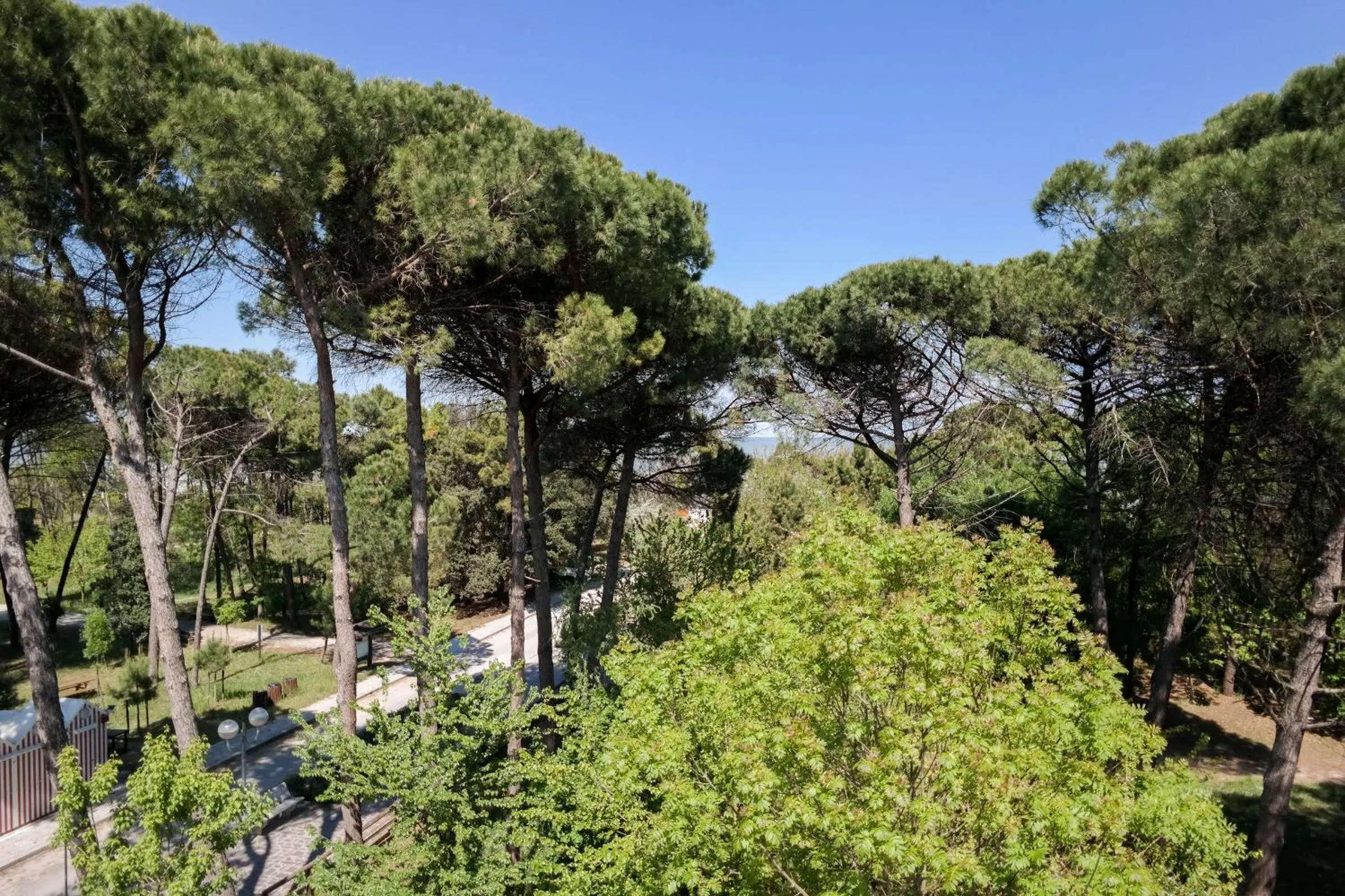 Sea view in Hotel Stella Del Mare