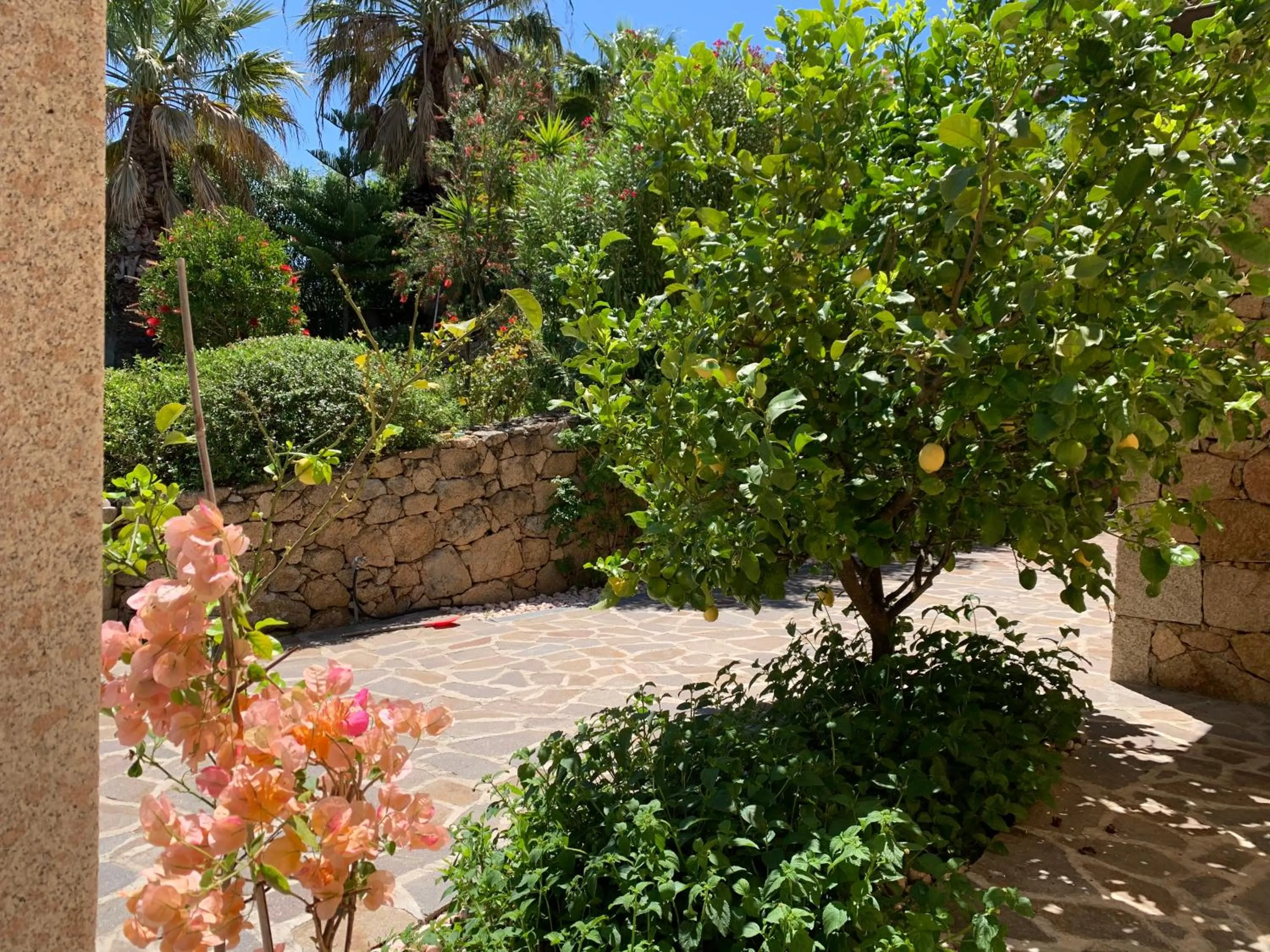 Garden in Villa Anastasia