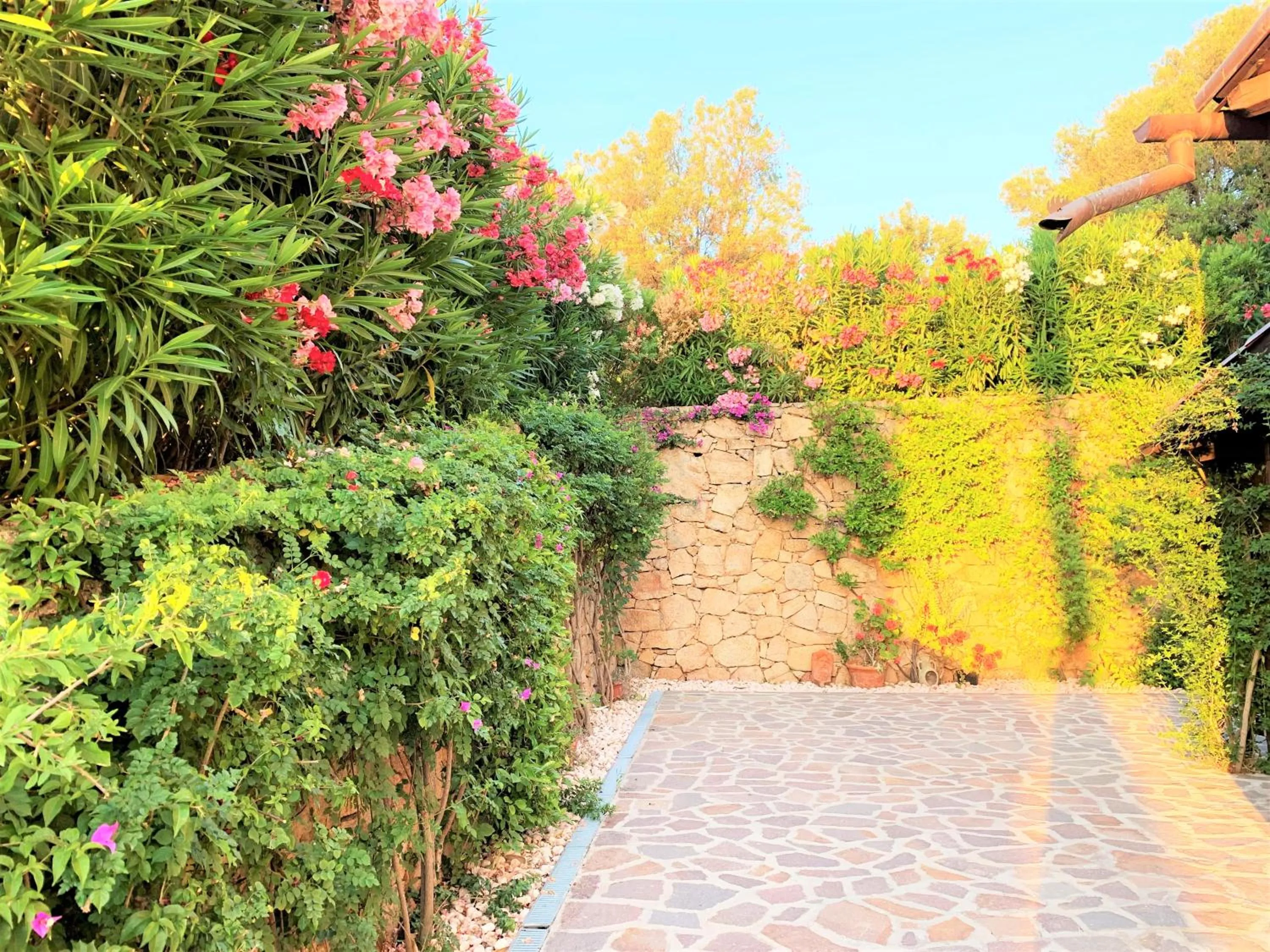 Decorative detail in Villa Anastasia