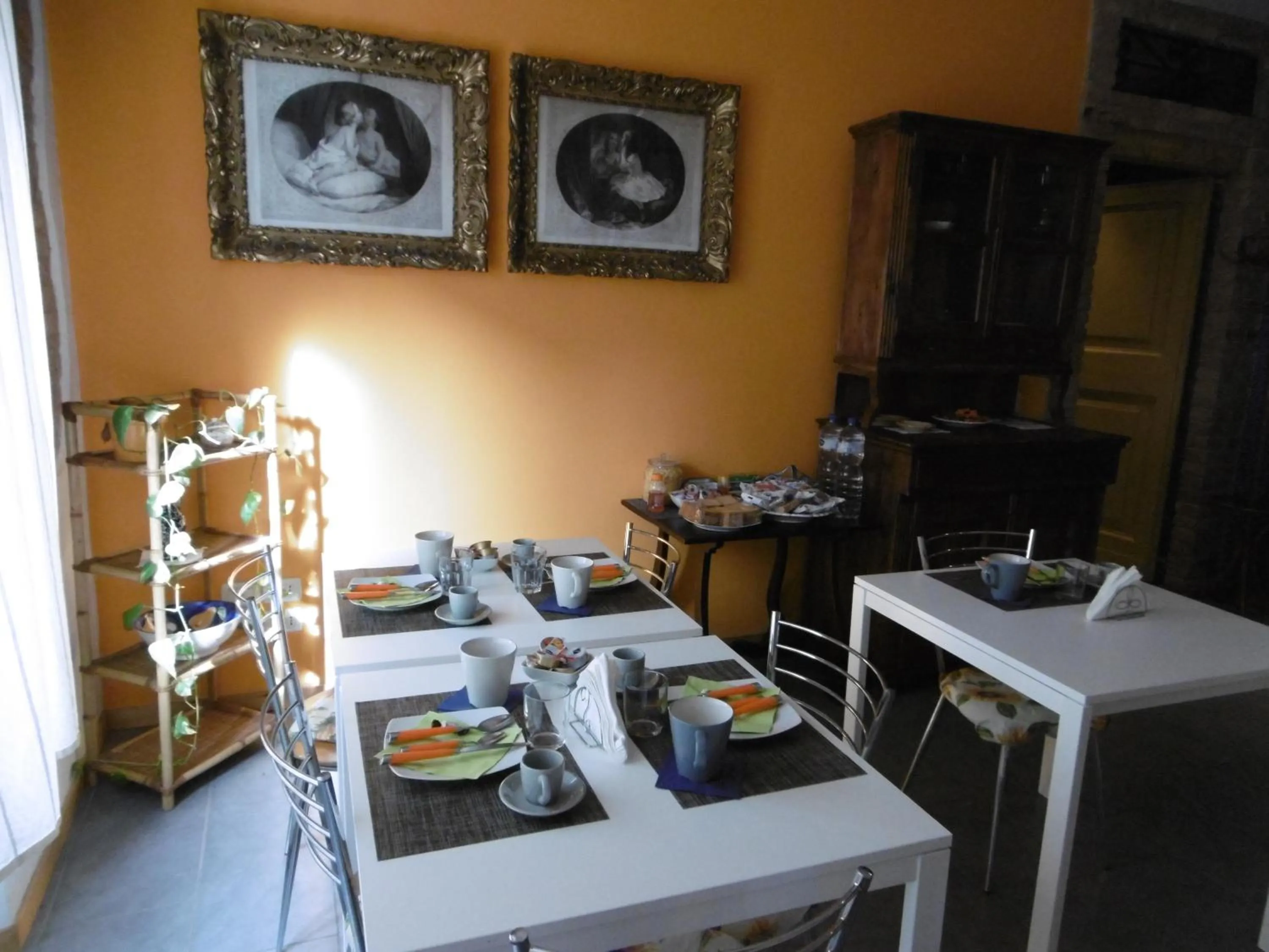 Area and facilities in Casa Ivanka