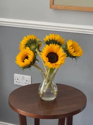 Lobby or reception in The Waverley Inn