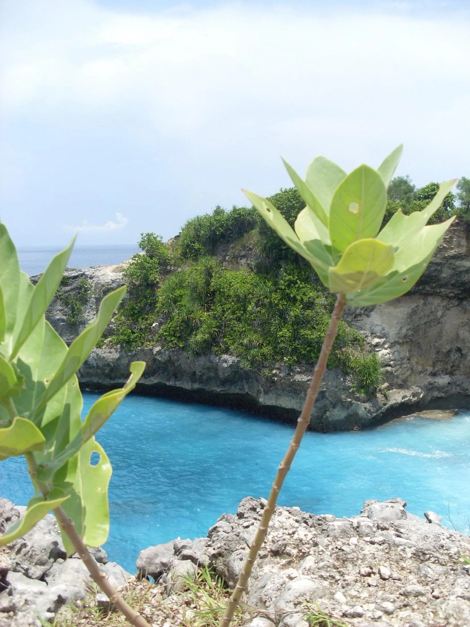 Neighbourhood in Lembongan Hostel