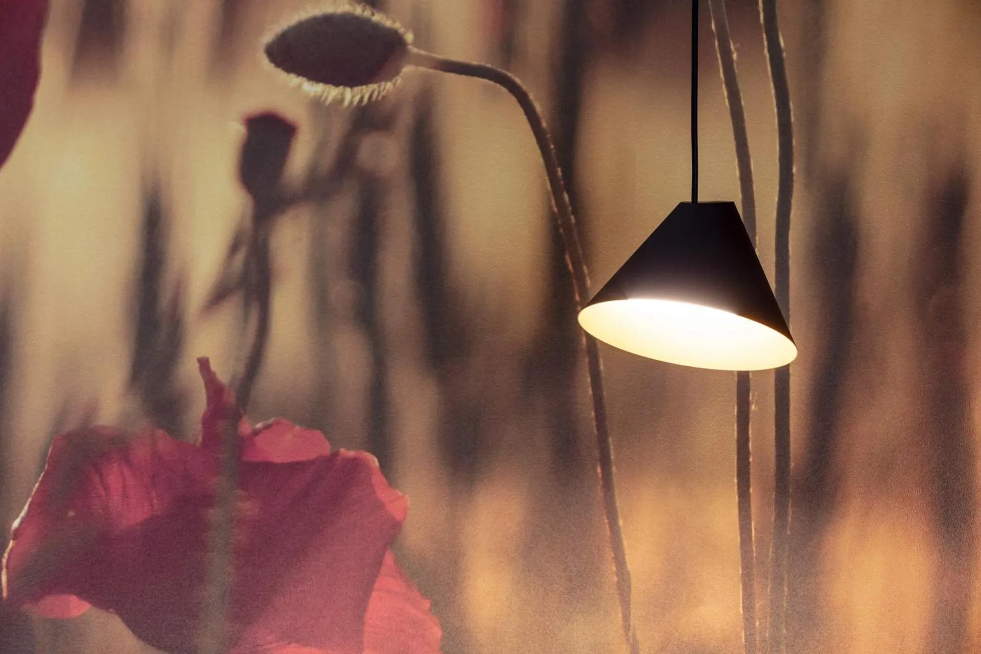 Decorative detail in Logis Auberge Les Murets Hotel Restaurant Spa