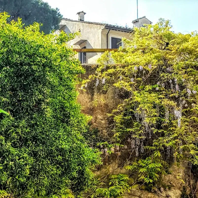 Bird's eye view in Santa Maria Maggiore