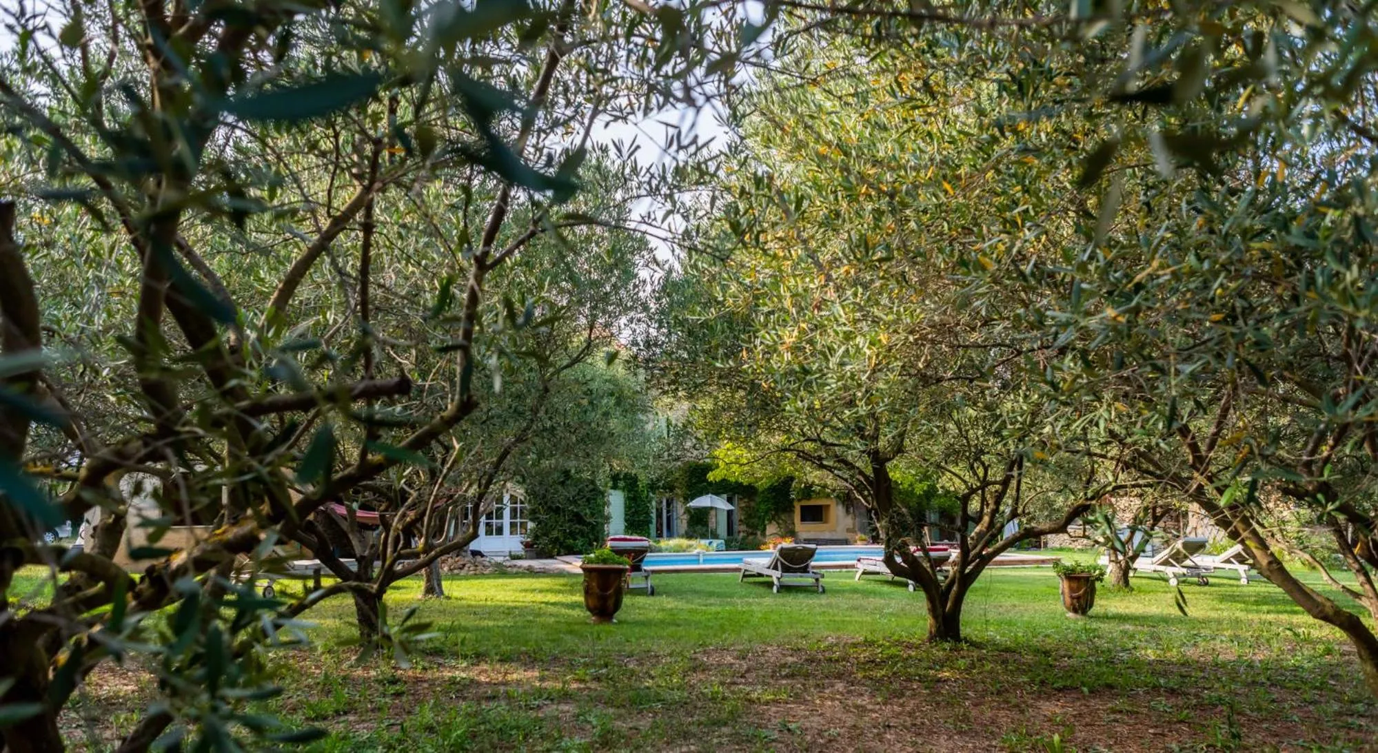 Garden in Mas de l'arrivette