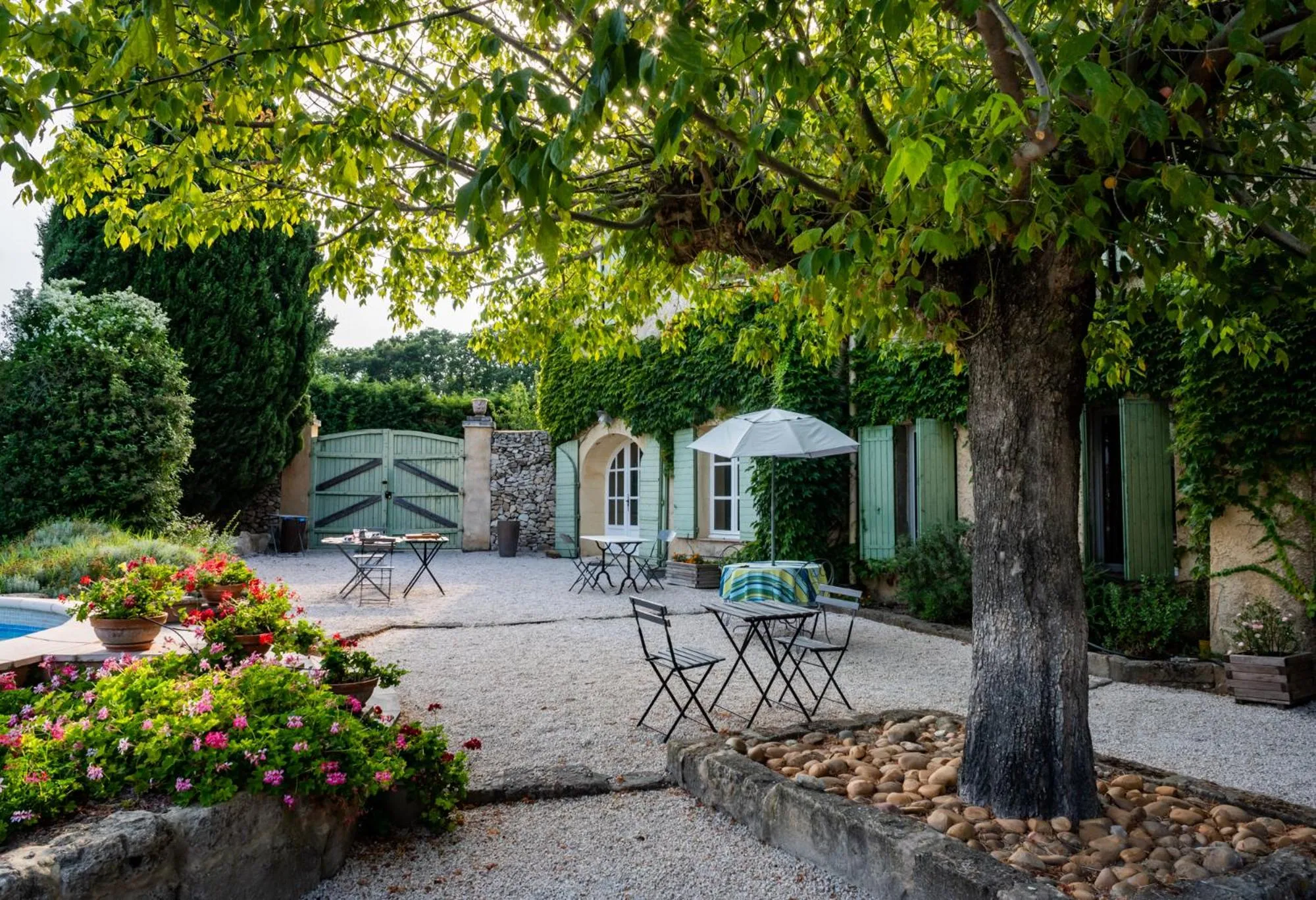 Garden in Mas de l'arrivette