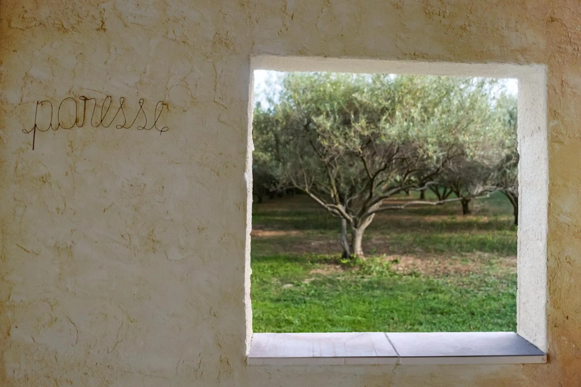 Garden in Mas de l'arrivette