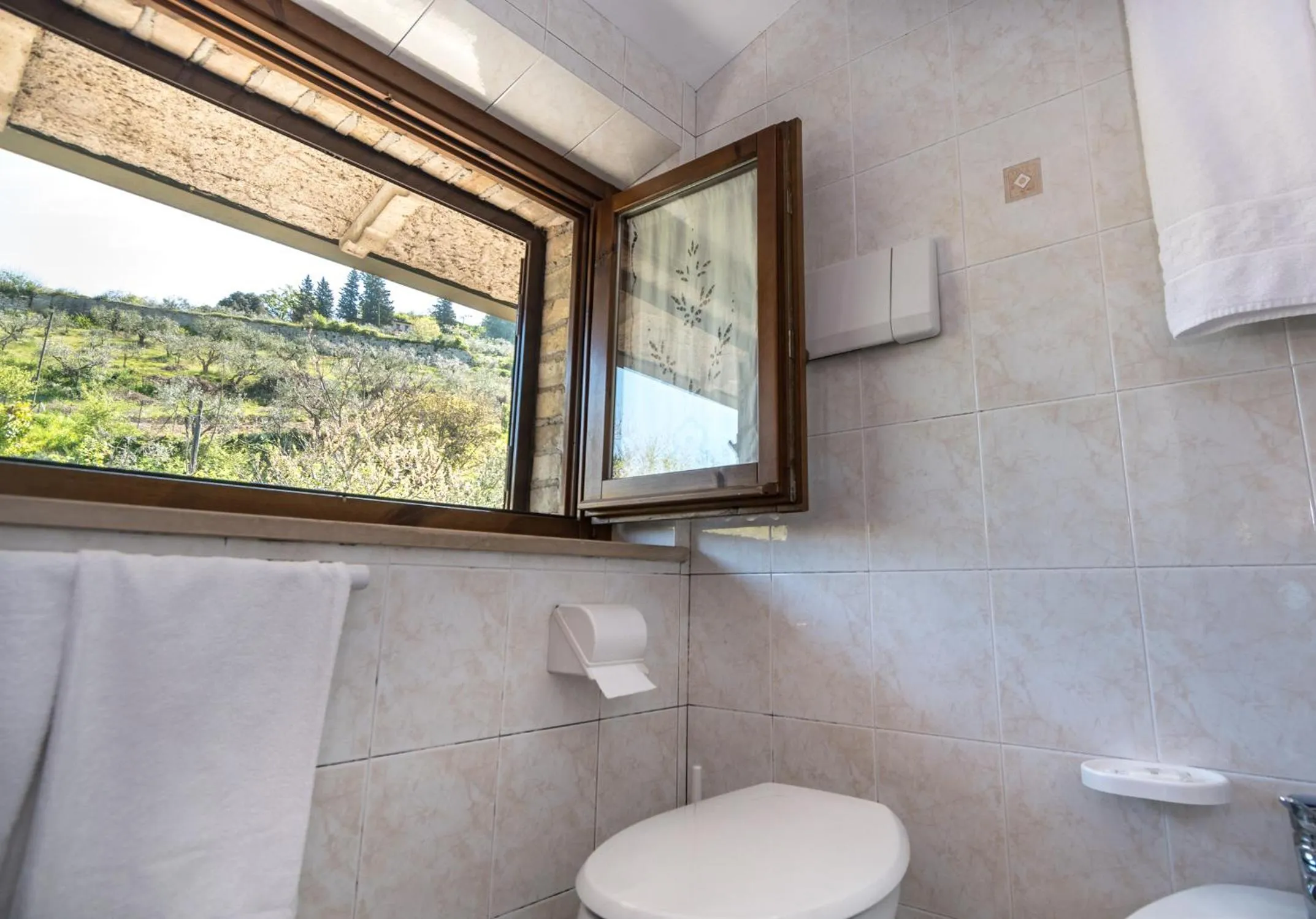 Toilet in La Piaggia