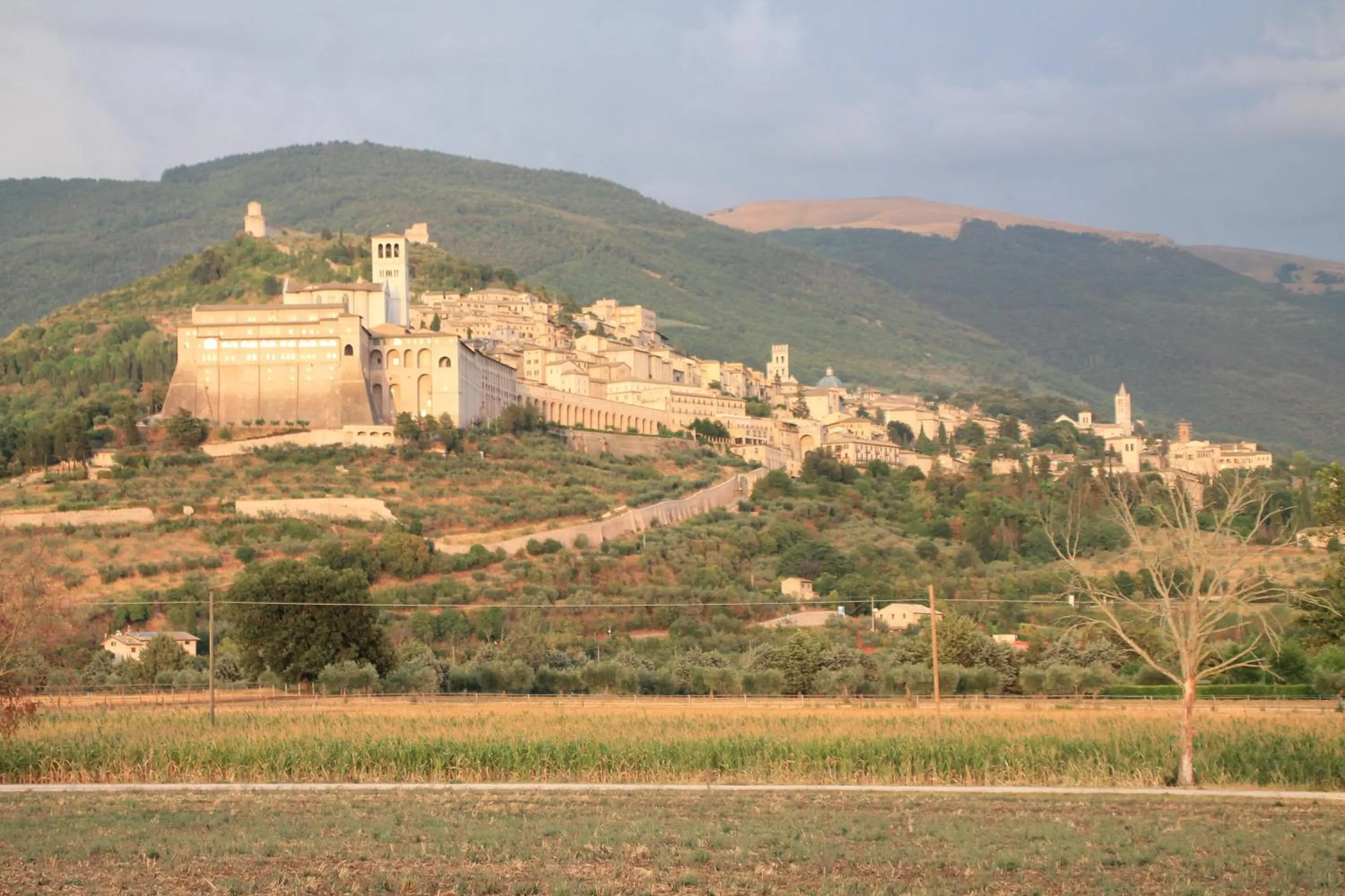 Natural landscape in La Piaggia