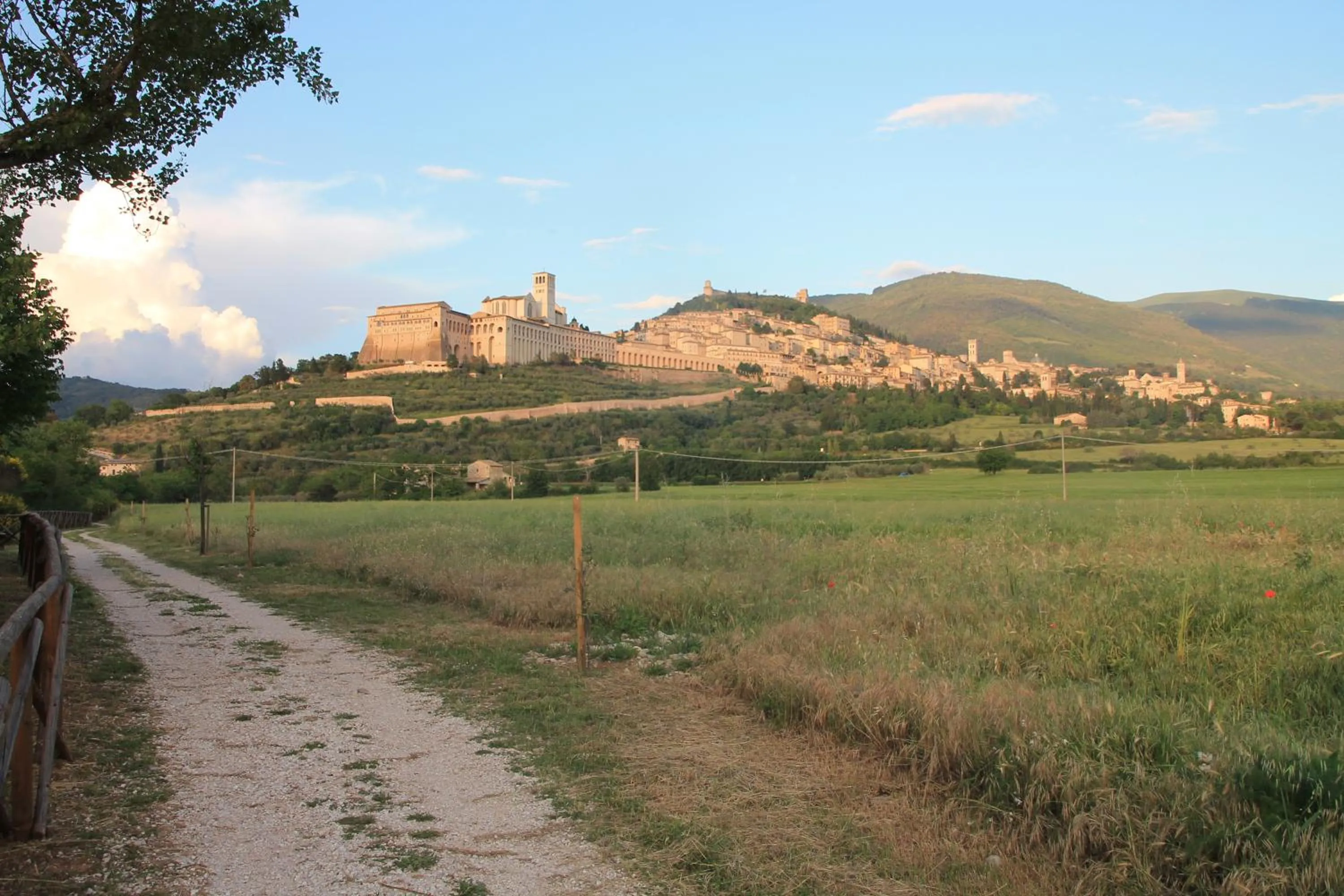 Neighbourhood in La Piaggia