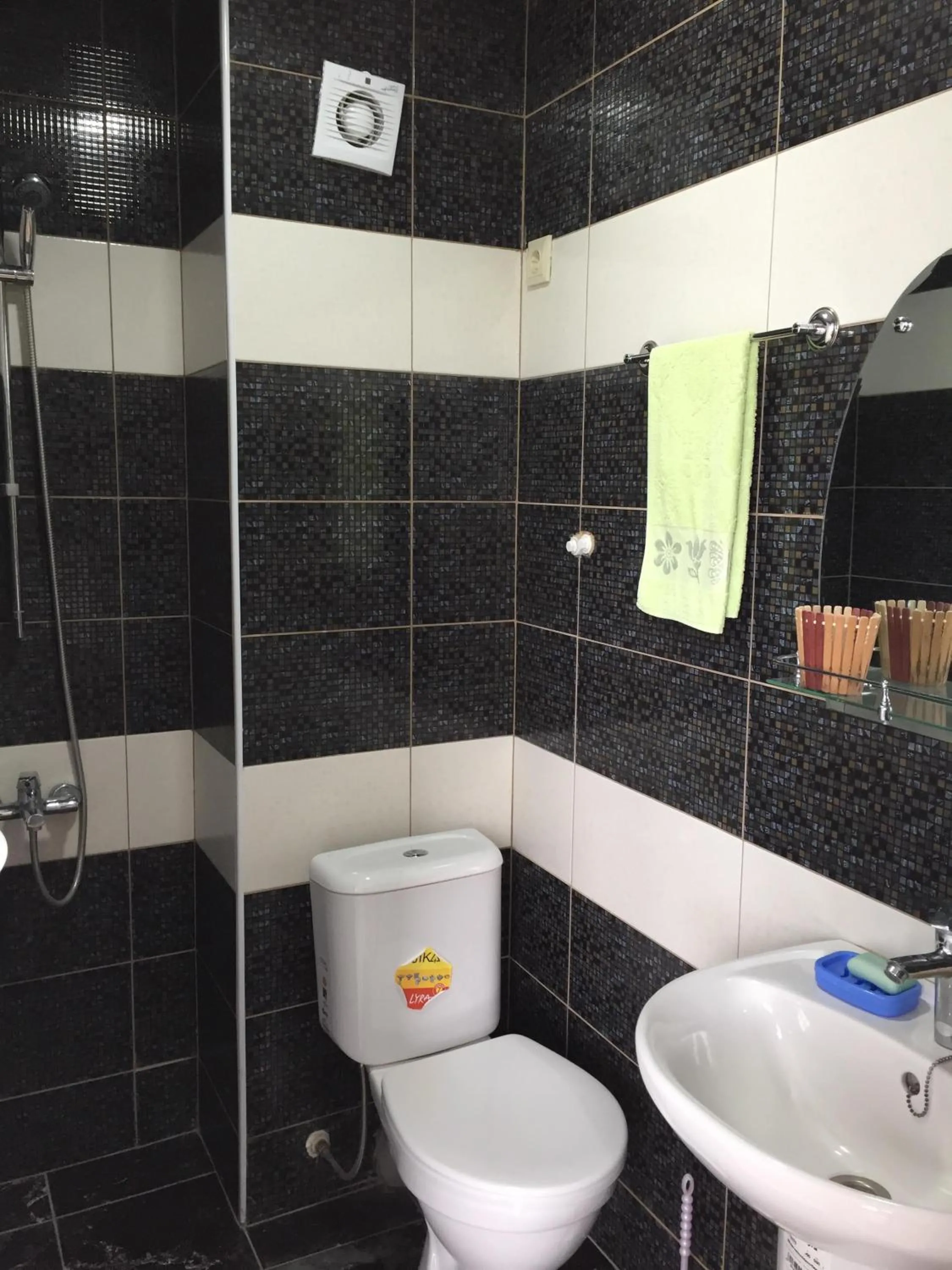 Shower in Green House
