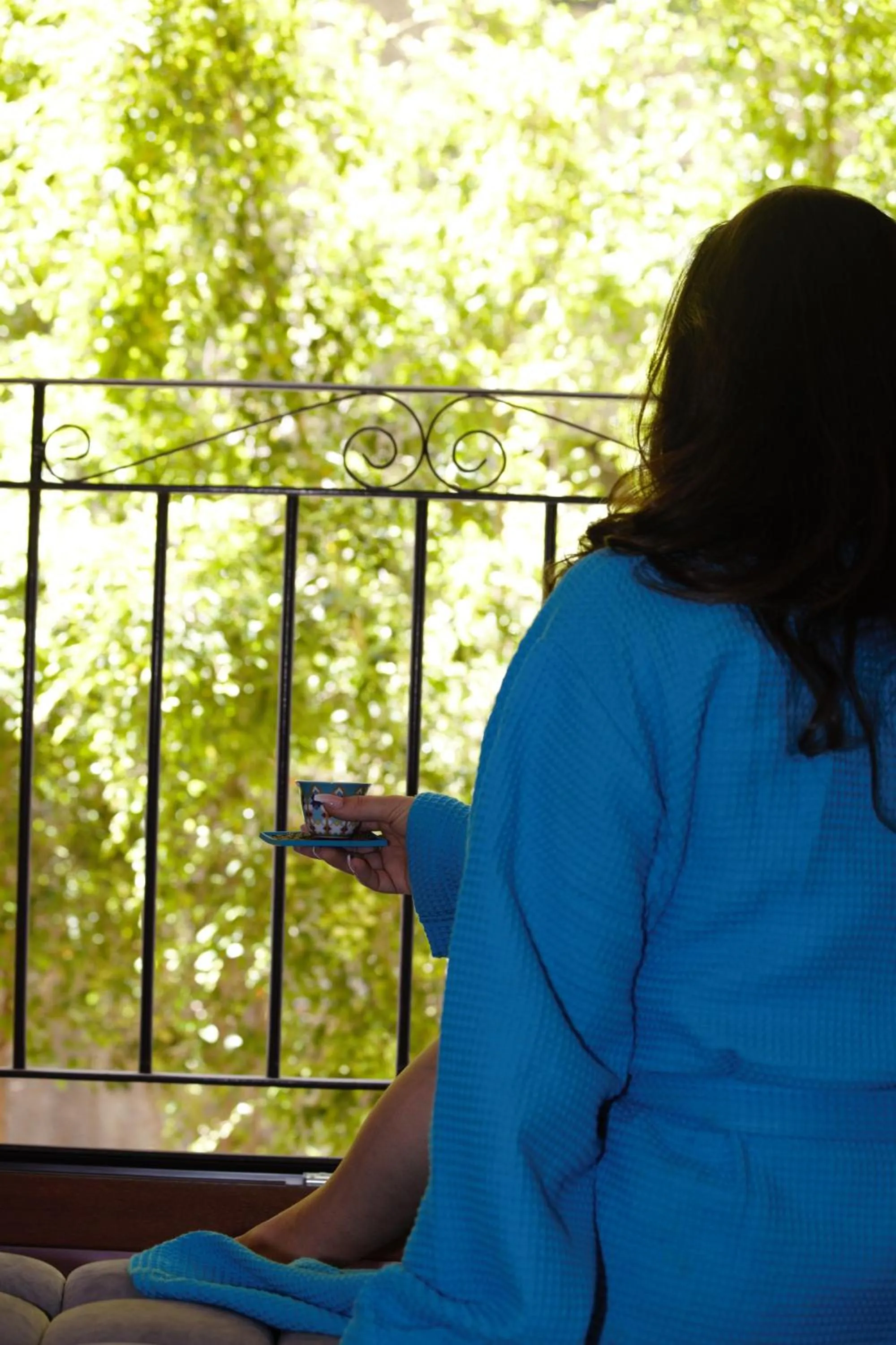 View (from property/room) in HOtello guest suites