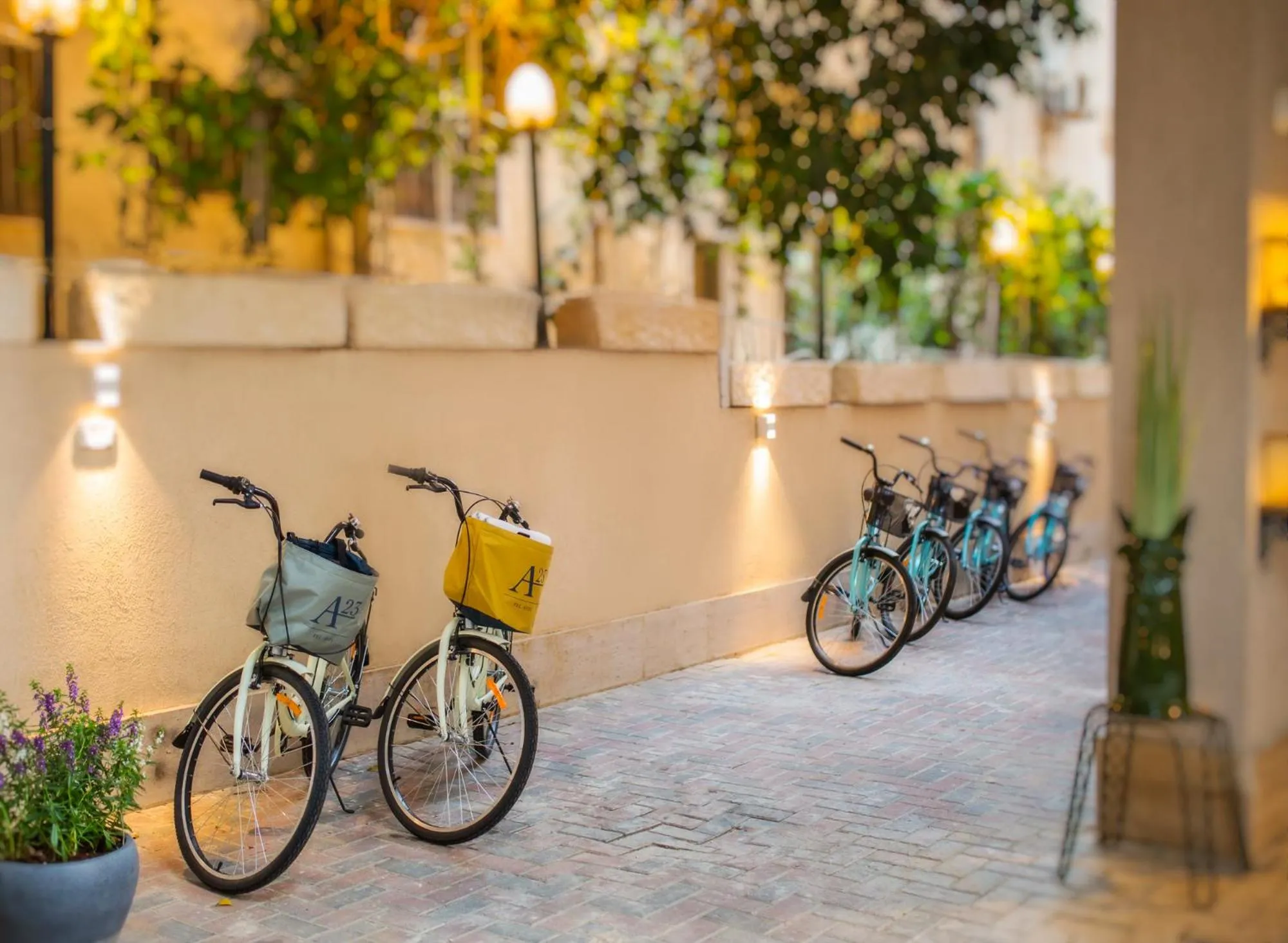 Garden in A23 Boutique Hotel