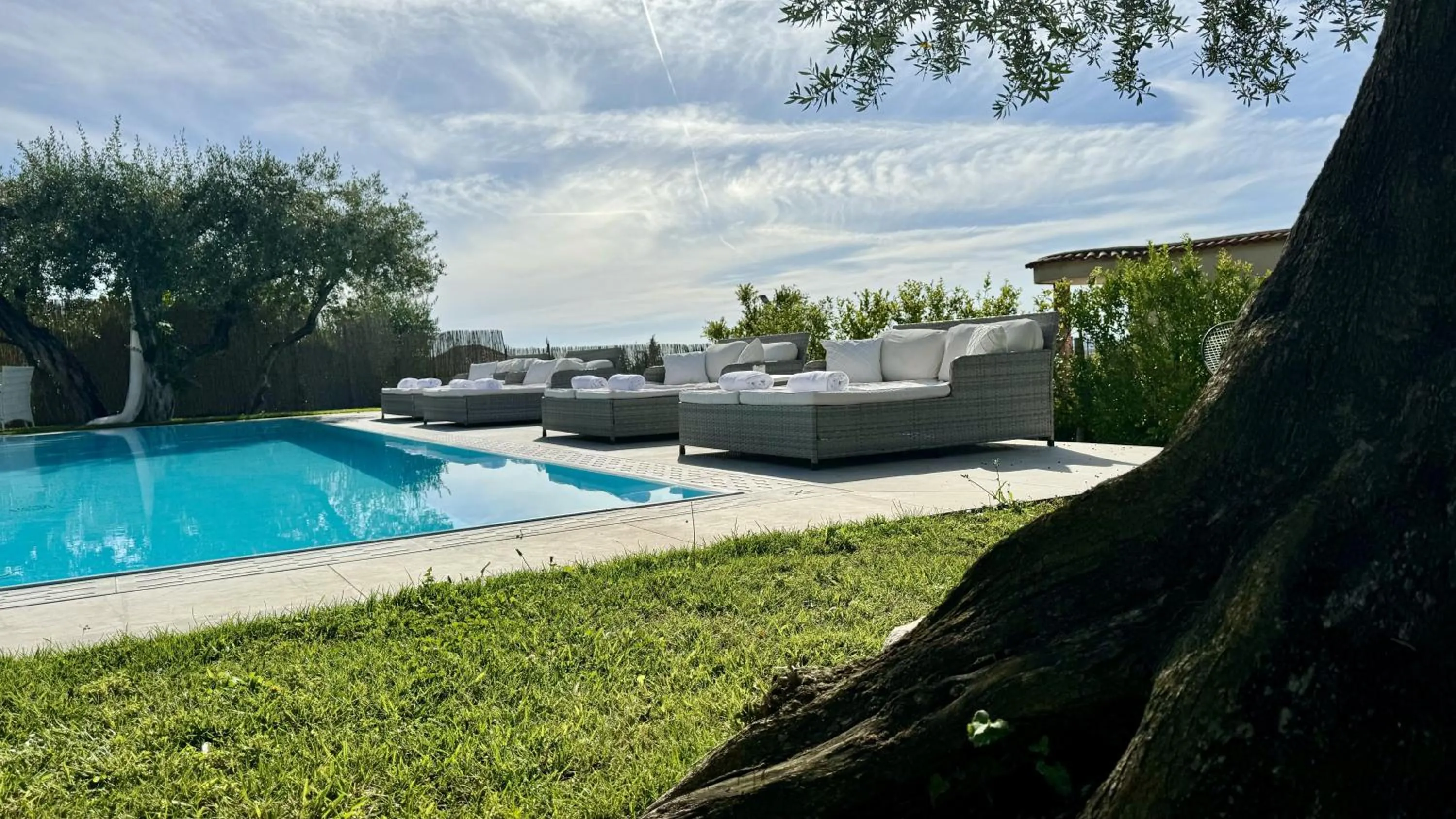 Garden in Villa C Luxury Estate