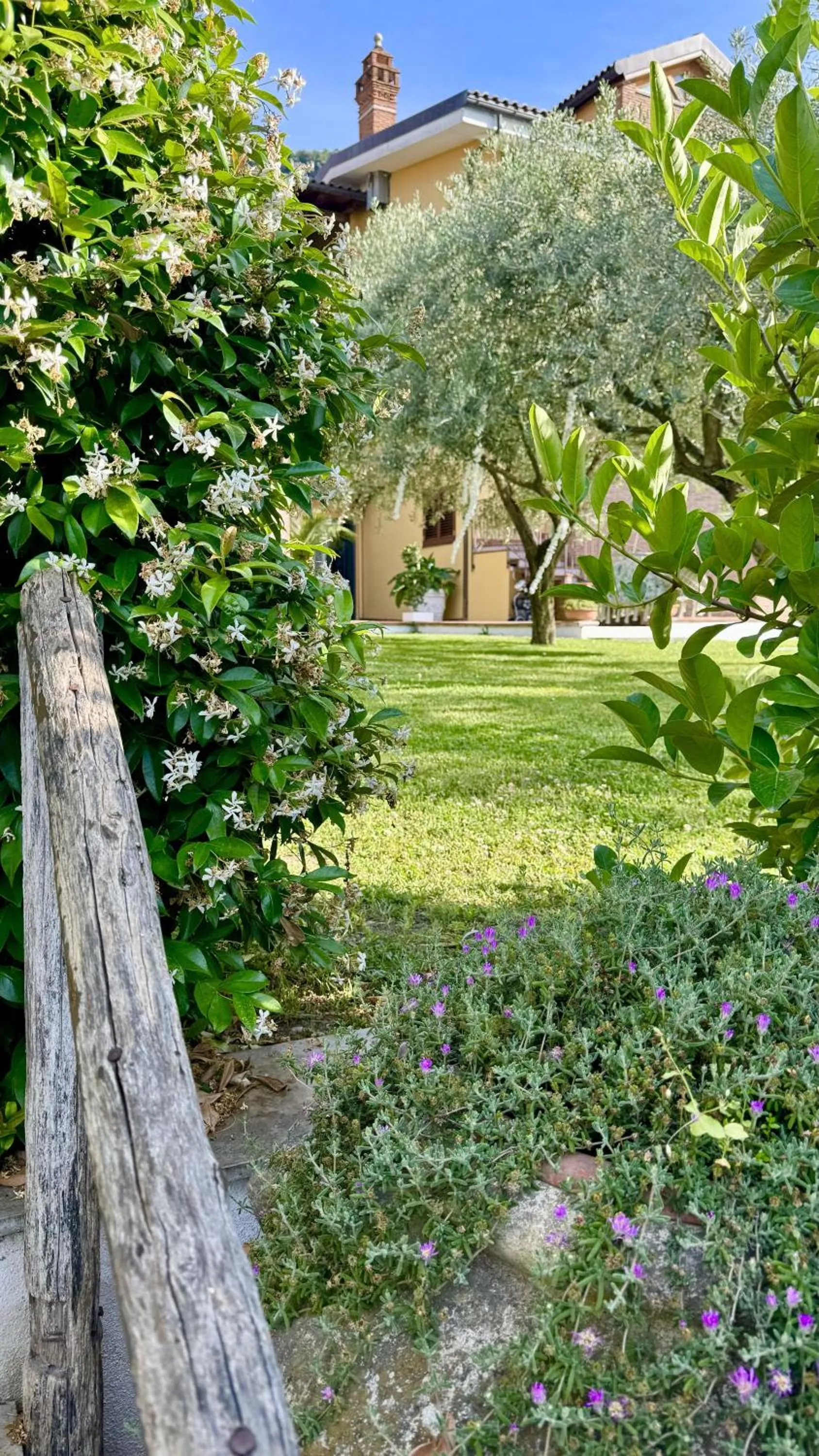Garden in Villa C Luxury Estate